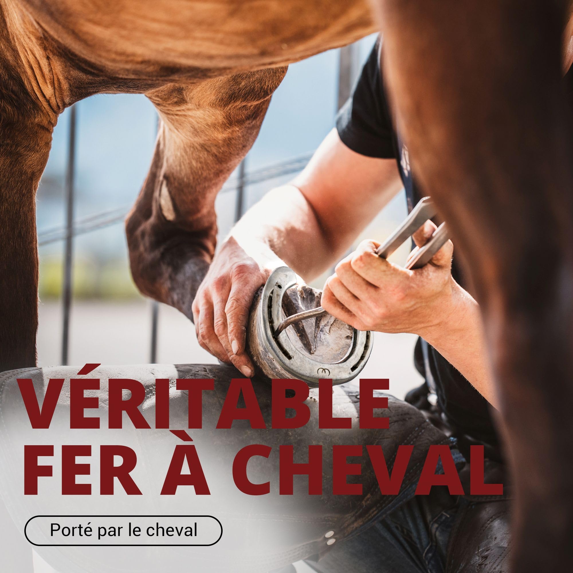 PURAJA Fer à Cheval Cadeau | Véritable Fer à Cheval porté | Porte-Bonheur pour Un Anniversaire, Un emménagement, Une fête, Un Mariage, Un baptême ou Une Naissance | avec Certificat d'authenticité