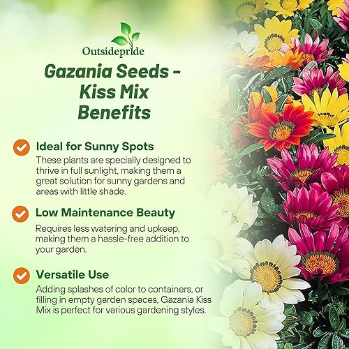 Miniatura 3 de Outsidepride Kiss Mix Gazania Semillas para plantar  50 piezas de semillas perennes, de bajo mantenimiento, tolerantes a la sequía para flores