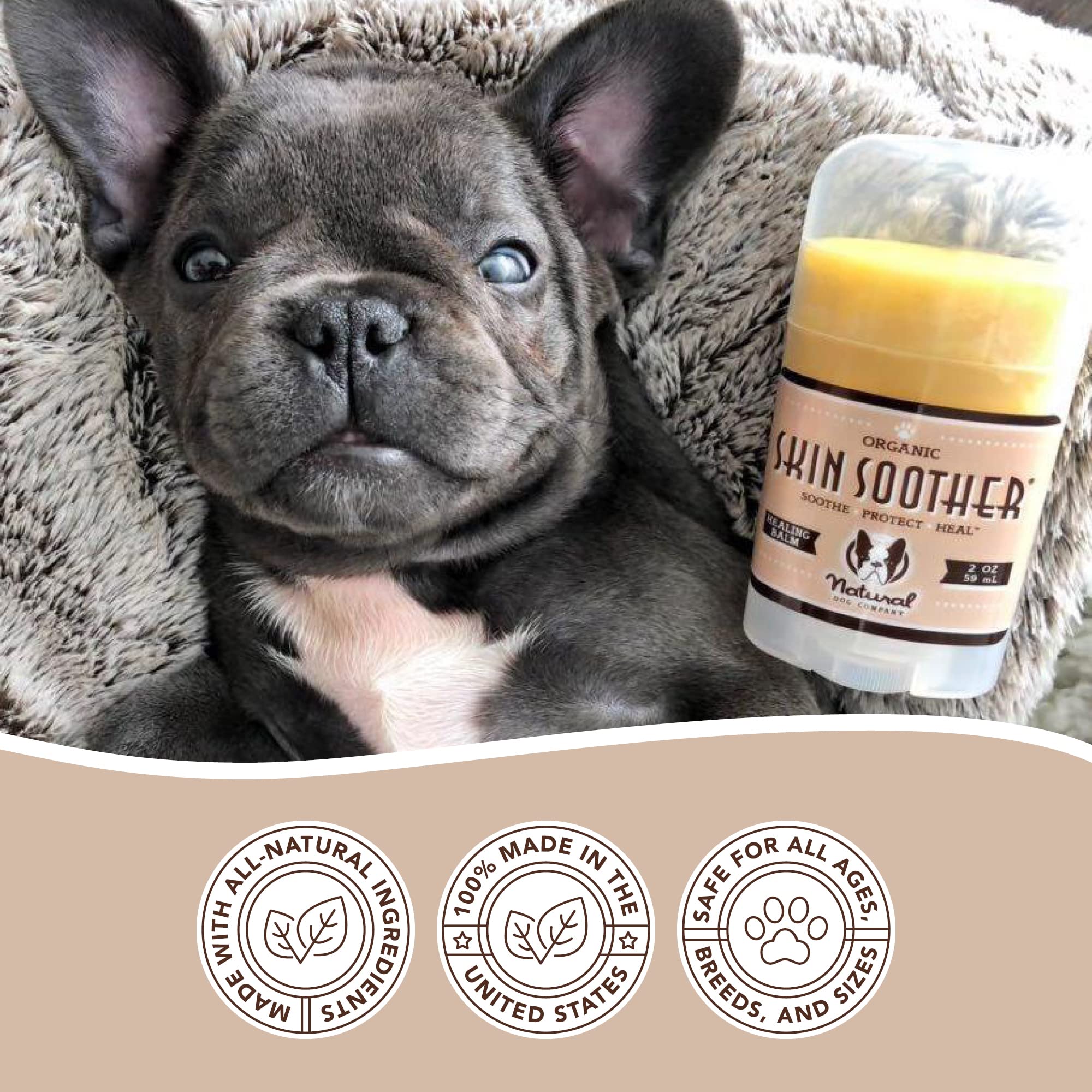 What Can You Put On A Dog With Dry Skin