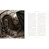 Product Photo 6