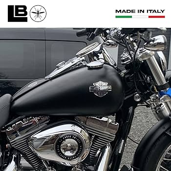 Harley-Davidson タンク 青　ショベルで使用 1969 Harley Davidson XLH : SHIUN CRAFT WORKS のブログ