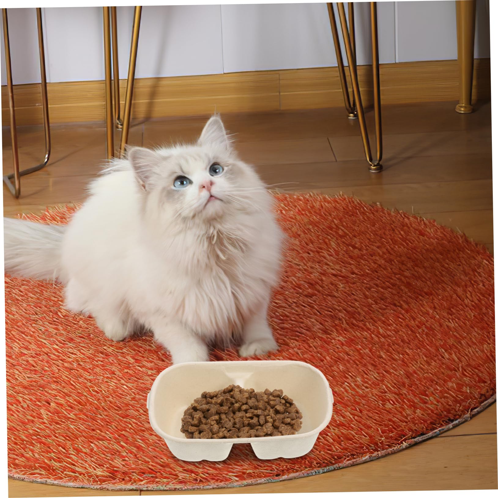 balacoo Safety Cat Bowl Disposable Dog Bowl One-time Use Smooth Surface Kitten Food Bowl Practical Indoor Outdoor Large Capacity