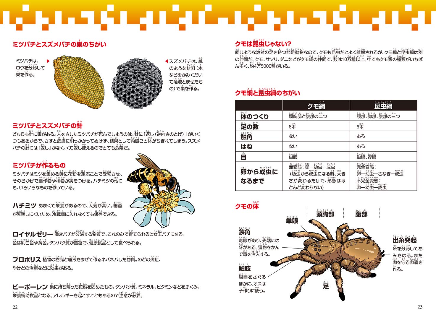 どっちが強い ハチvsクモ 危険生物の必殺バトル 角川まんが科学シリーズ ジノ ブラックインクチーム ブラックインクチーム 丸山 宗利 配送料無料