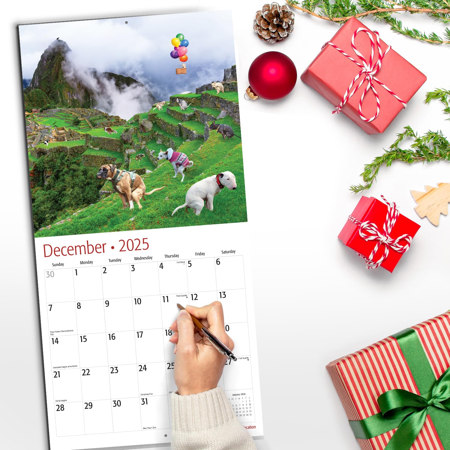 RED EMBER Dogs Pooping on Vacation - Calendario mensual de pared colgante 2025 | 12 x 24 pulgadas abierto | Papel grueso y resistente | Regalo | Divertido intercambio secreto de elefante blanco Yankee
