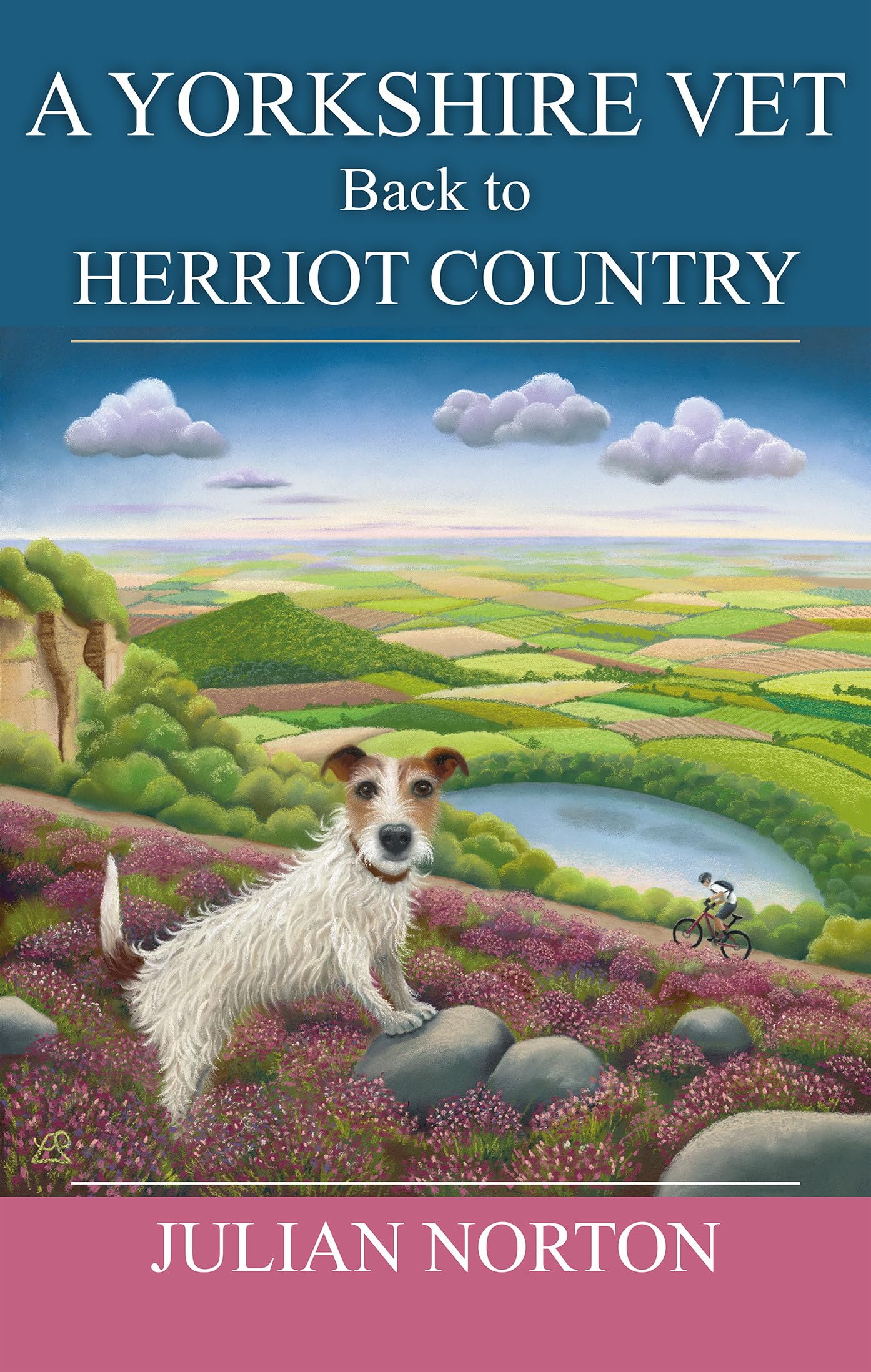 A Yorkshire Vet Back To Herriot Country