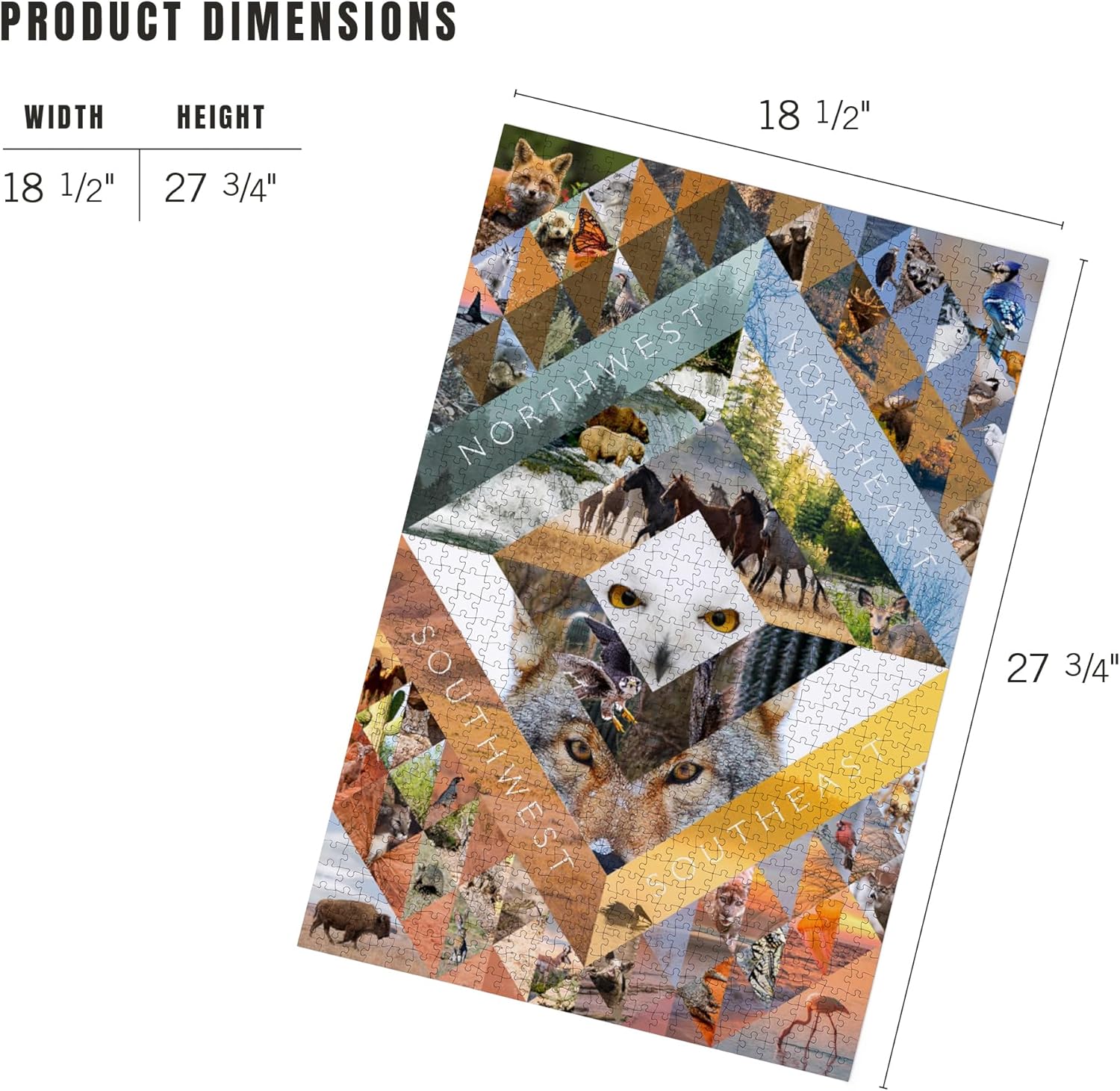 "Lantern Press North American Wildlife Collage, Photo Collage, 1000 Piece Jigsaw Puzzle for Adults, Made in USA with Reference Poster"