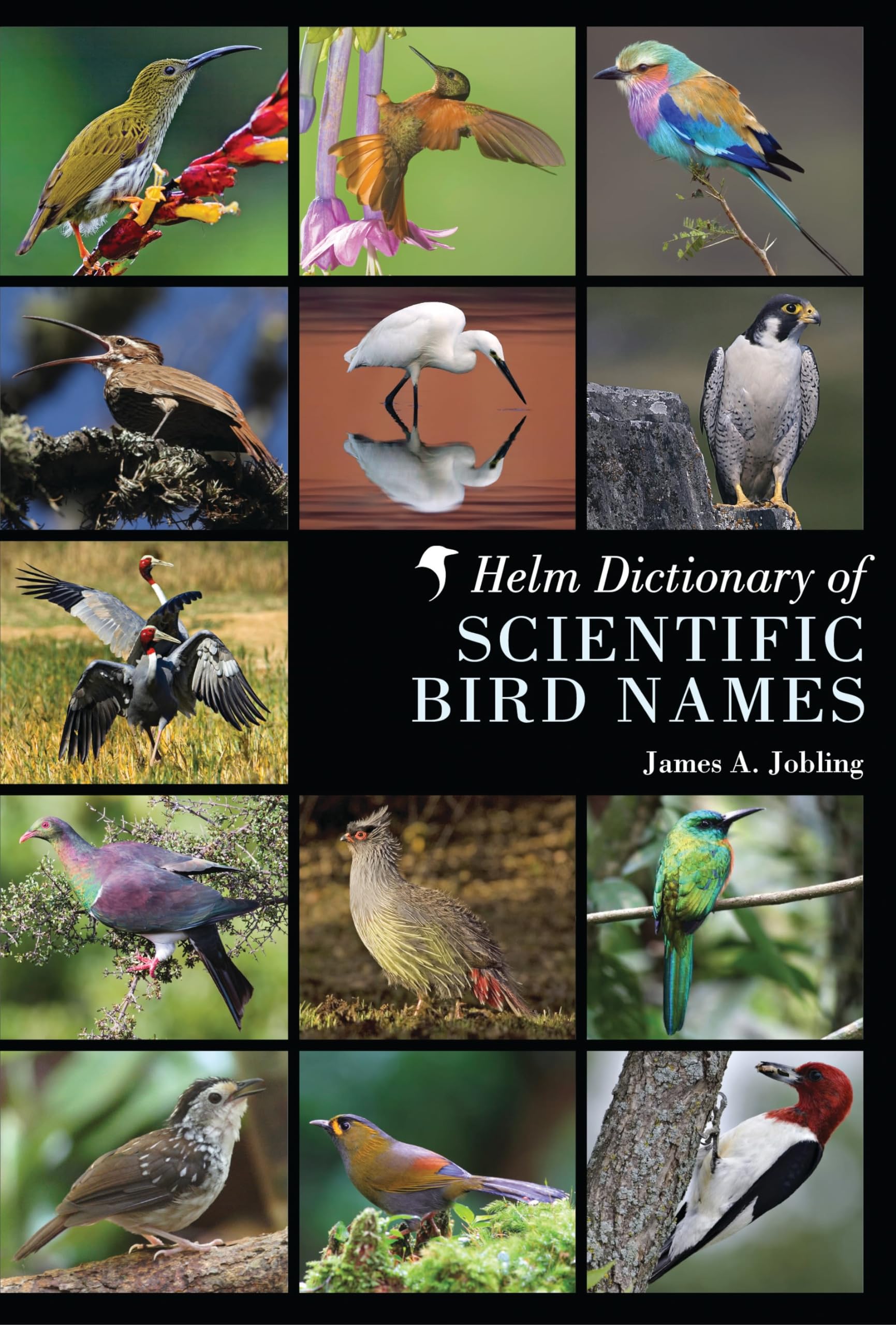 Buy Helm Dictionary of Scientific Bird Names — BookShops.in