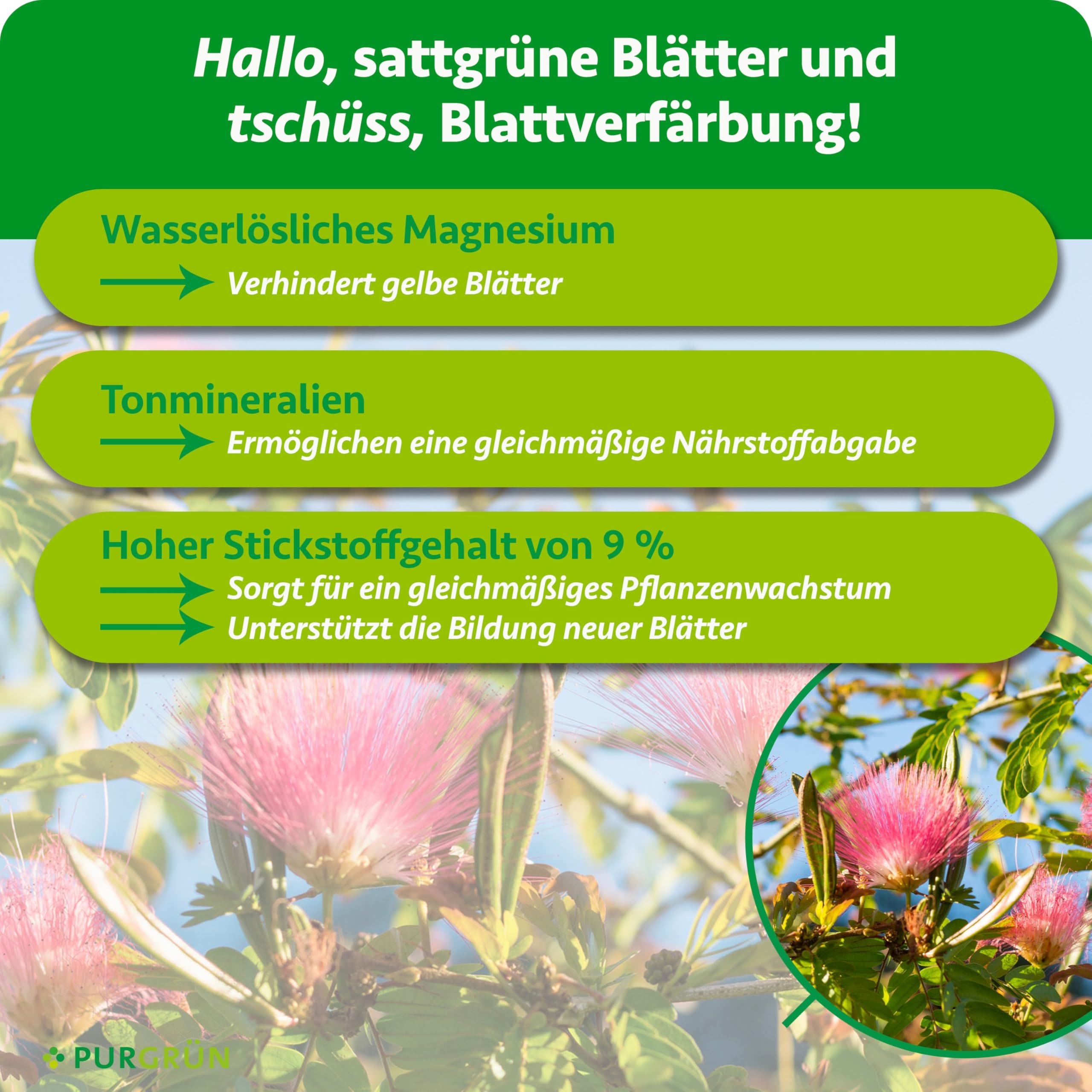 Seidenbaum-Dünger 1 kg – Organisch-mineralische Rezeptur – Feinkörniges Krümelgranulat – NPK 9+4+8 – Extra Magnesium für leuchtende Blüten – Verbessert die Bodenqualität