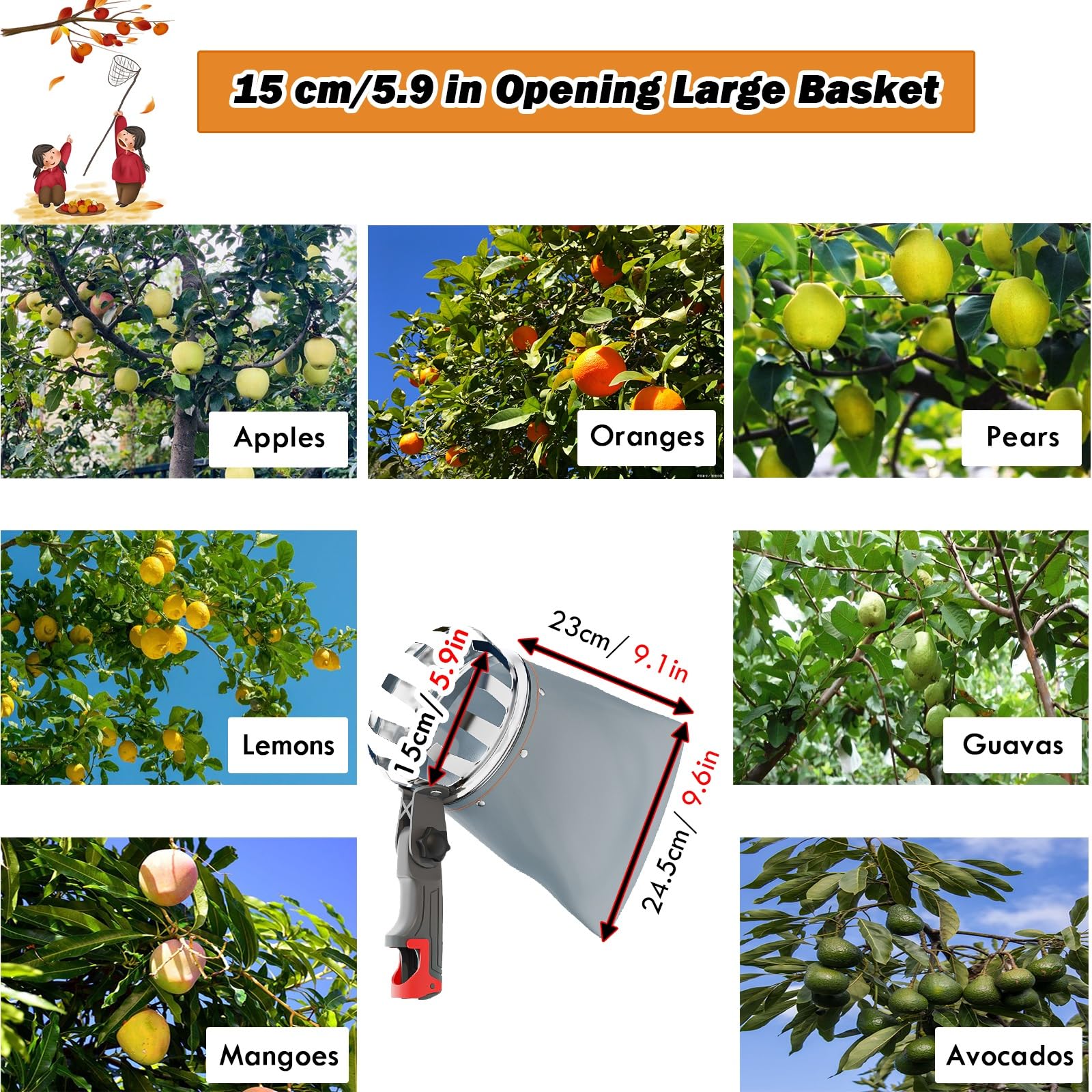 recoge fruta recogedor de frutas Herramienta para recoger frutas, cesta para recoger frutas con palo de extensión de 3, 5, 6 y 7 m para recolector de aguacates, bellotas, limones, peras y mangos(3m/65