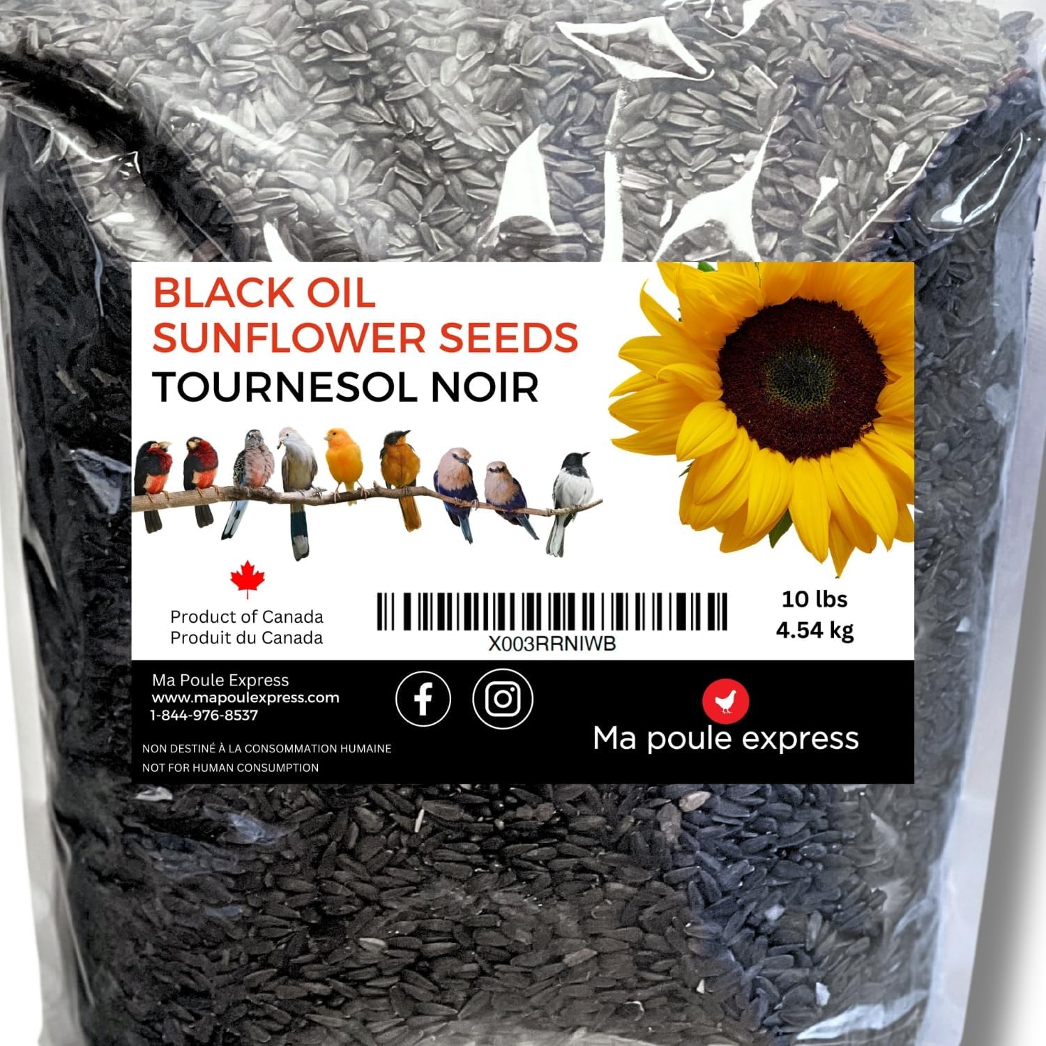 Ma Poule Express Sunflower Seeds for Birds Black Oil Seeds Wild Bird