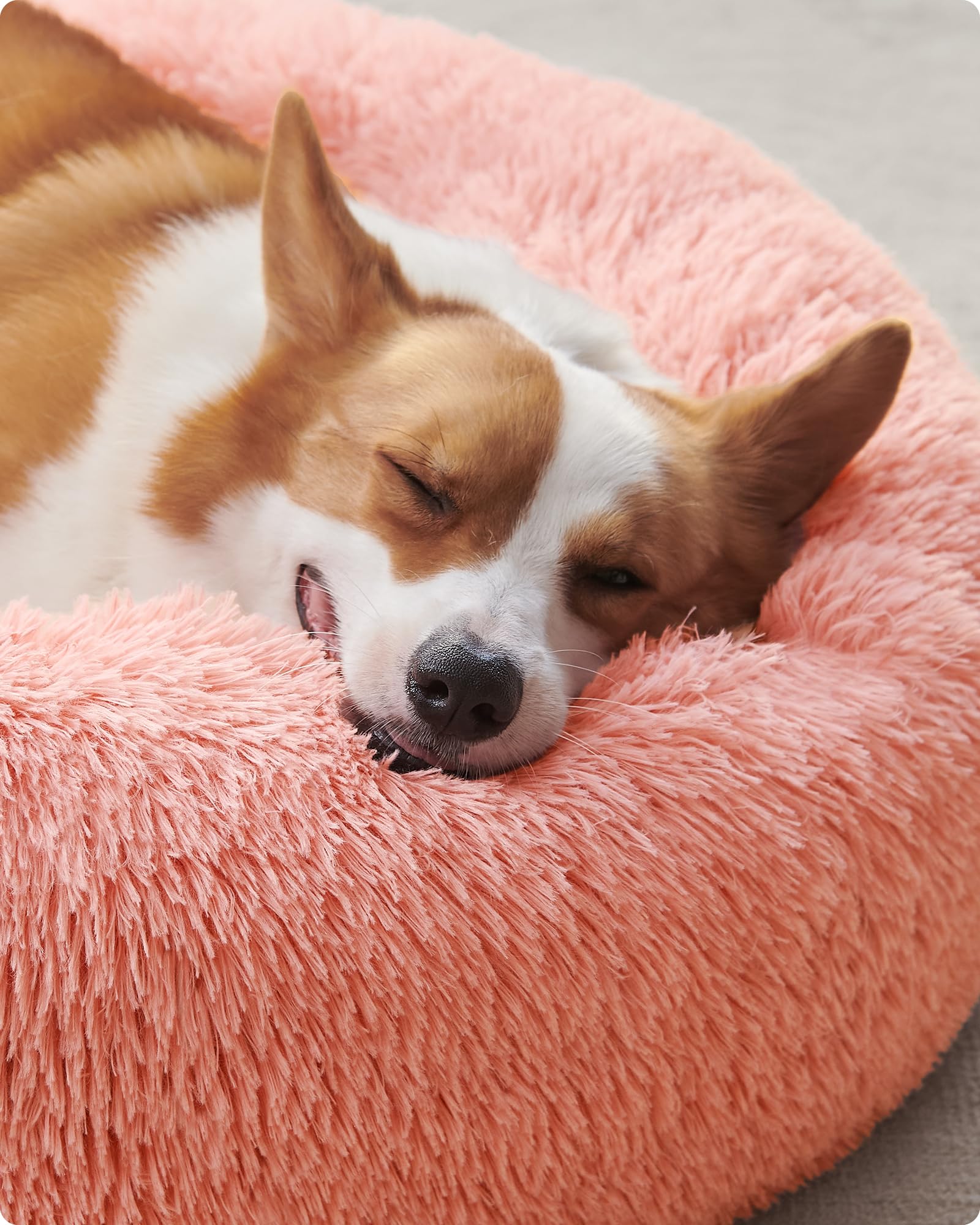 Feandrea Cuccia Cane Interno, Cuccia per Cani, Lettino per Animali Domestici a Ciambella, Cuscino Sfoderabile e Lavabile, Tappeto di Peluche, Diametro 80 cm, Rosa PGW040R01