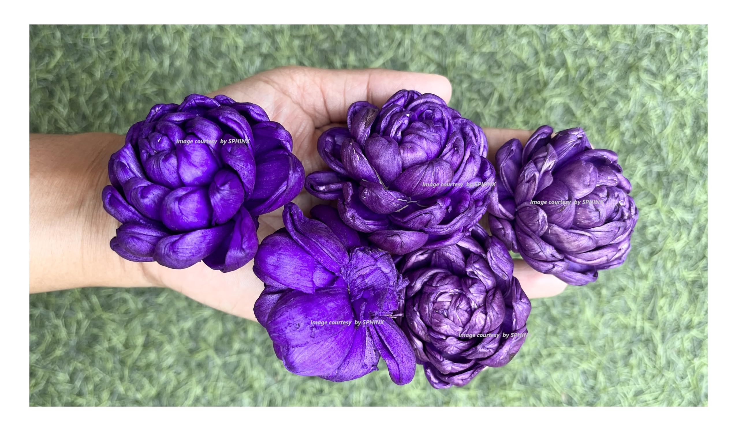 SPHINX Sola Bloomed Lotus Flowers for Decorations, Gift Packing, D-I-Y Art and Crafts, Garland Making Festive Decor Pooja Decor Table Decorations- (Purple Approx 4 cms, 5 Pieces)