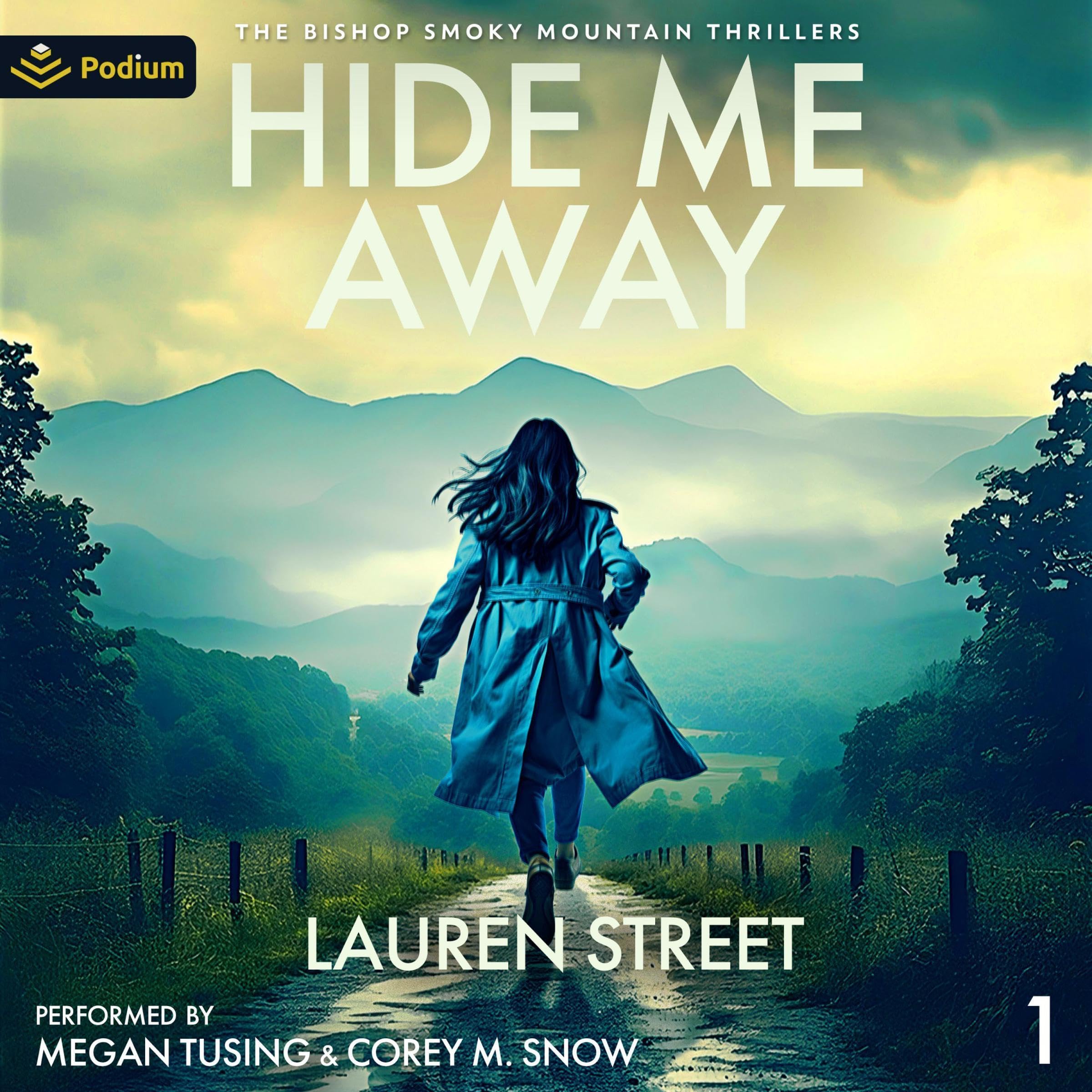 Cover art for Hide Me Away