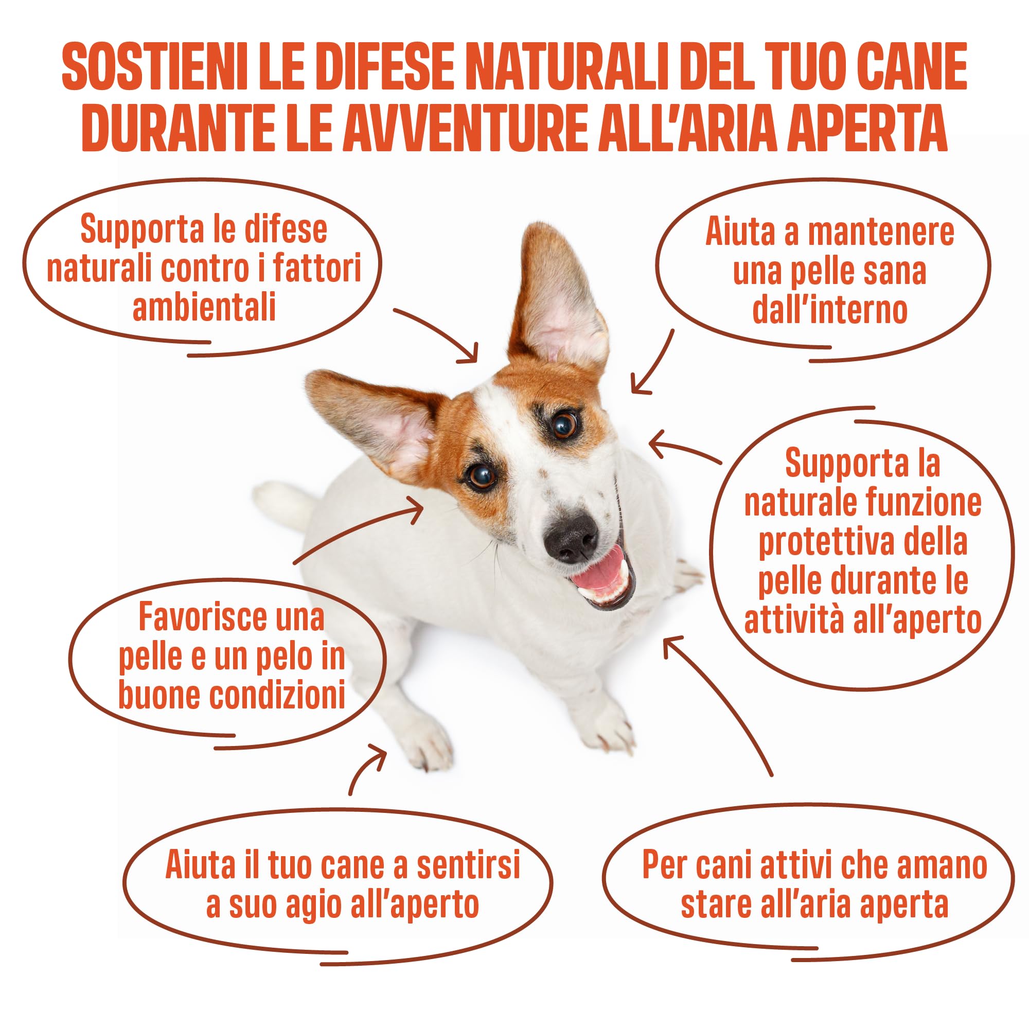 ivvi Outdoor per Cani – Snack Morbidi con Lievito di Birra, Olio di Cumino Nero, Olio di Krill e Cisto – Pelle, Pelo e Difese Naturali – 270 g, 60 Snack