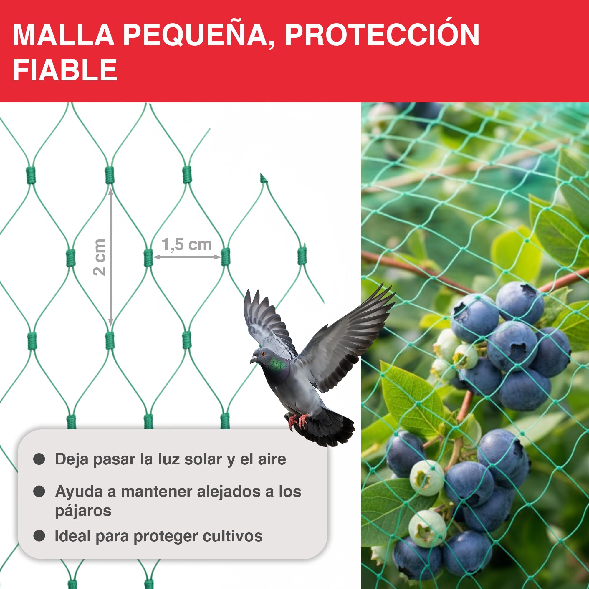 SWISSINNO Malla Antipajaros 4x10m - Red Protección para Campos, Cultivos - Malla para Aves, Protege Plantas, Frutas, Flores, Estanques - Verde