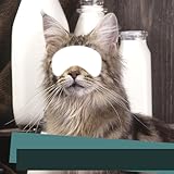 Terminez les prochaines étapes et ressentez la joie avec le montage de photos d'animaux: