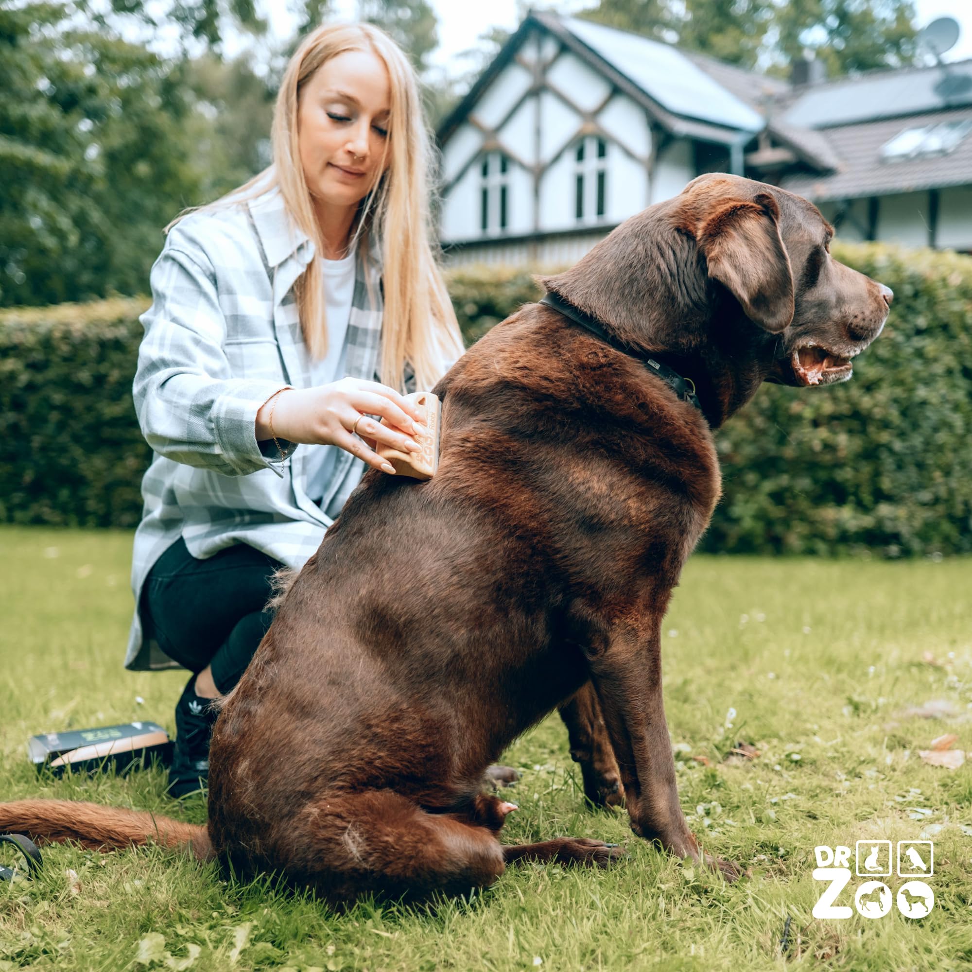 DR Zoo Cepillo para perros "Robbi" – Cepillo milagroso de alta calidad para el cuidado eficaz para perros pequeños y grandes, ideal para eliminar el pelo corto con capa interna