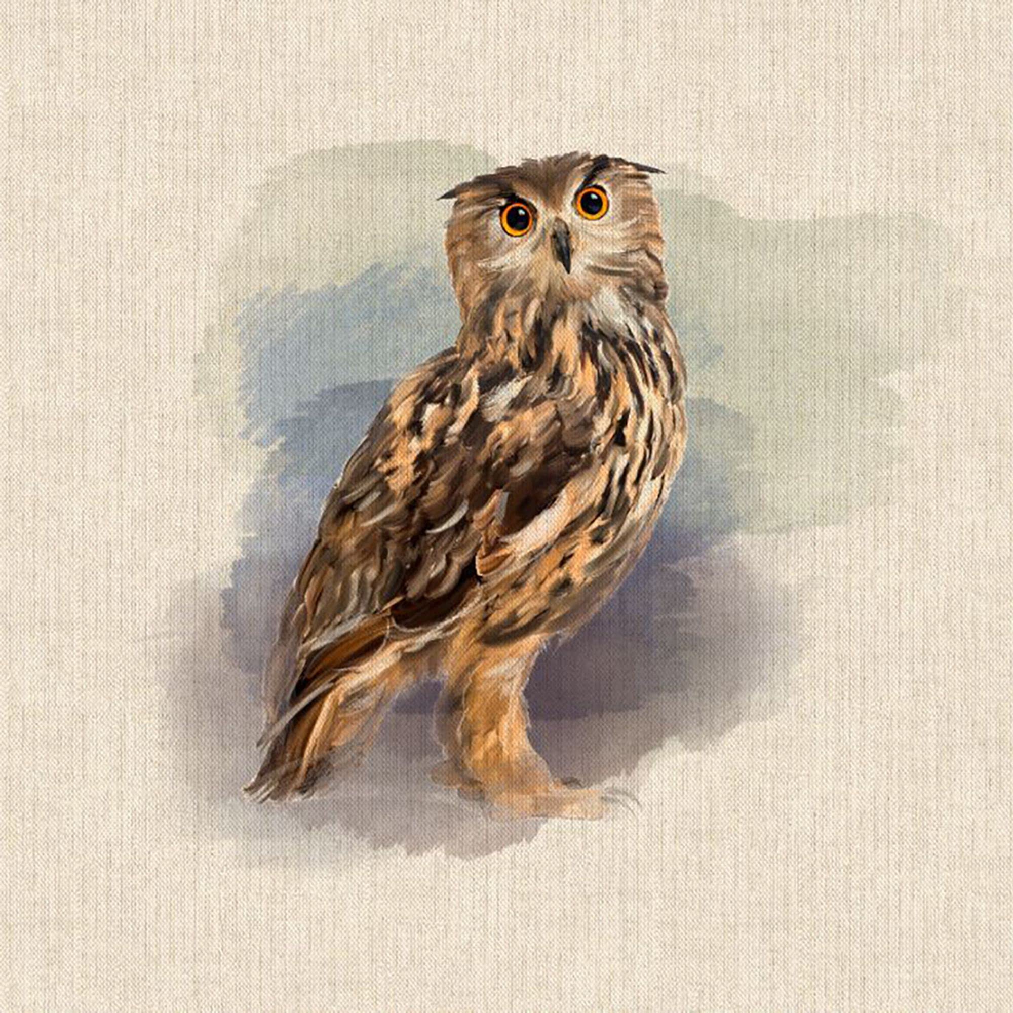 Discover Lifestyle & Fashion Fabrics Owl Watercolour Animals Digital Print Design Cotton Rich Linen Look Fabric For Bunting Blinds Craft Quilting Patchwork & Upholstery | Sold Per Panel (Owl)