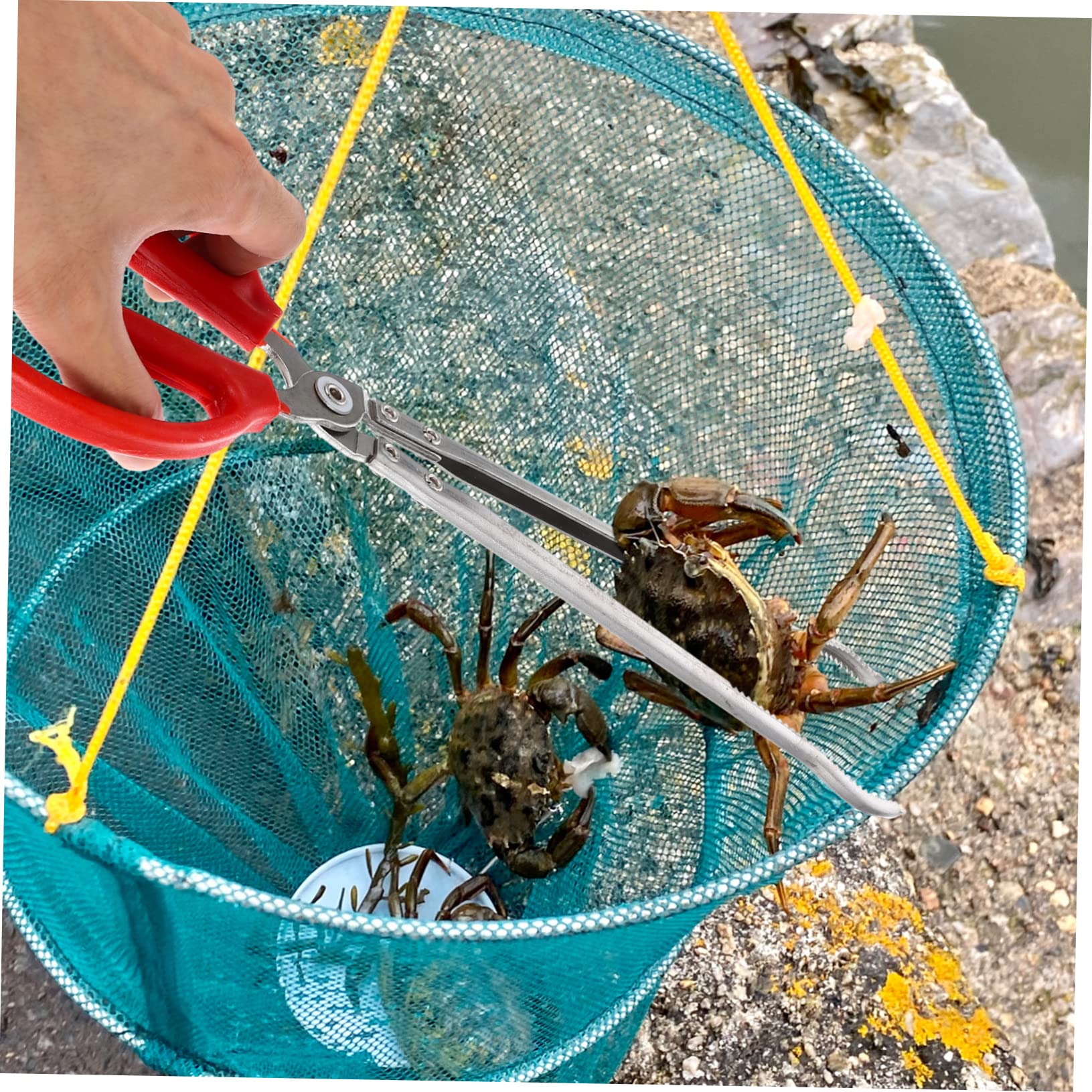 Pince à Crabe en Acier Inoxydable Multifonction Portable