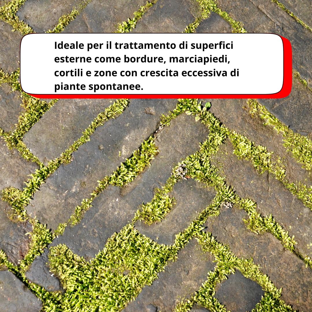 acquaverde | ECO-Herb 80%, Acido Acetico 80% Concentrato - 5 L, Azione Erbicida Rapida, Effetto Diserbante, Stop alle Erbe Infestanti per Viali, Aree Incolte, Piazzali