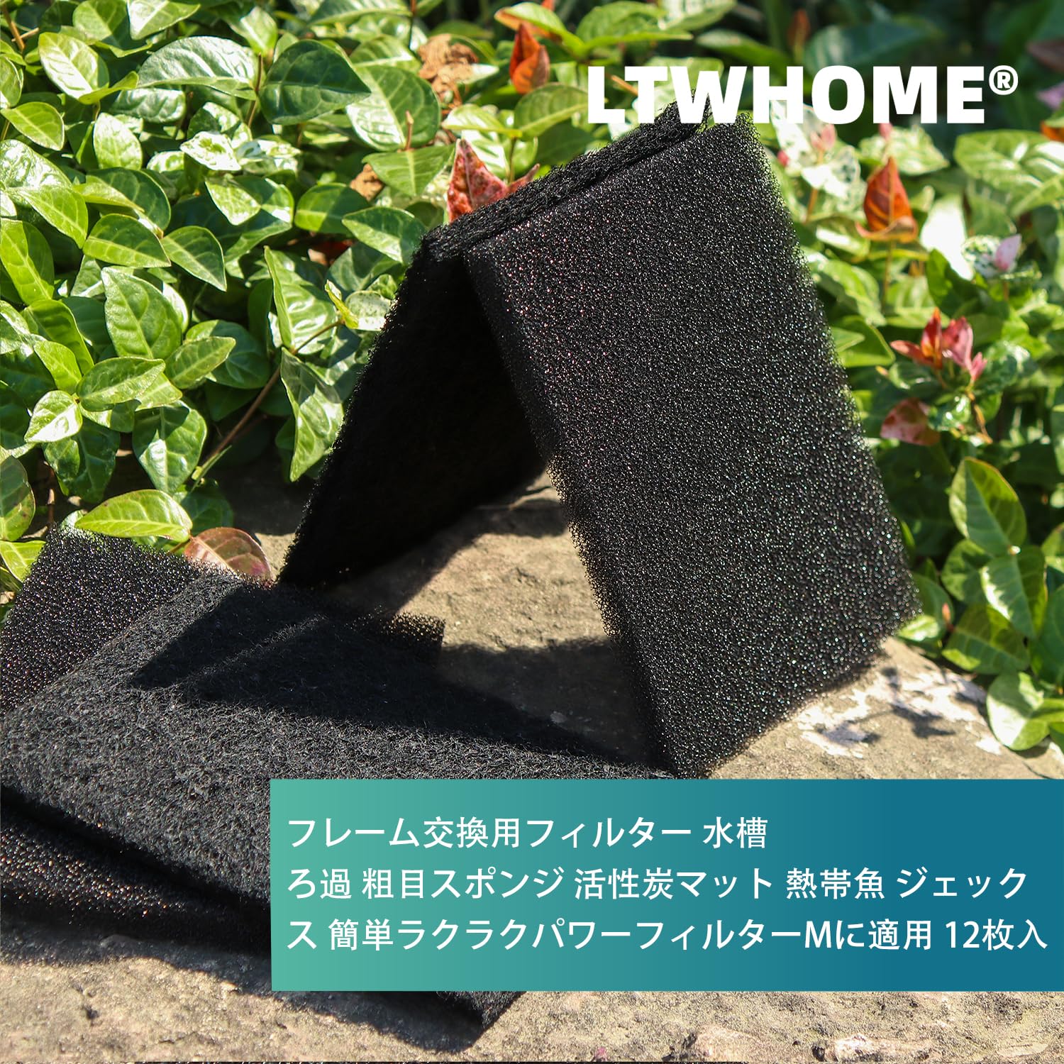 Amazon | LTWHOME ろ過 フィルター 水槽用 粗目スポンジ 活性炭マット