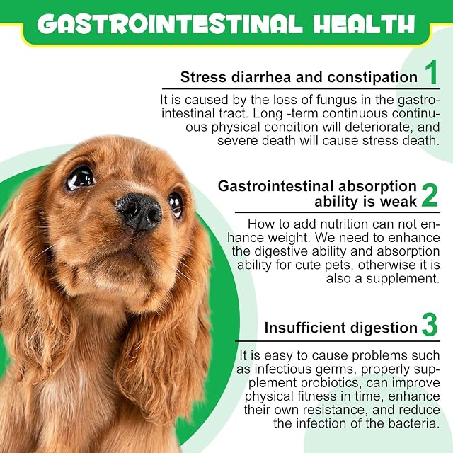 Foto 6 de 7 de Probióticos para perros, probióticos para perros, enzimas digestivas, salud intestinal, picor cutáneo