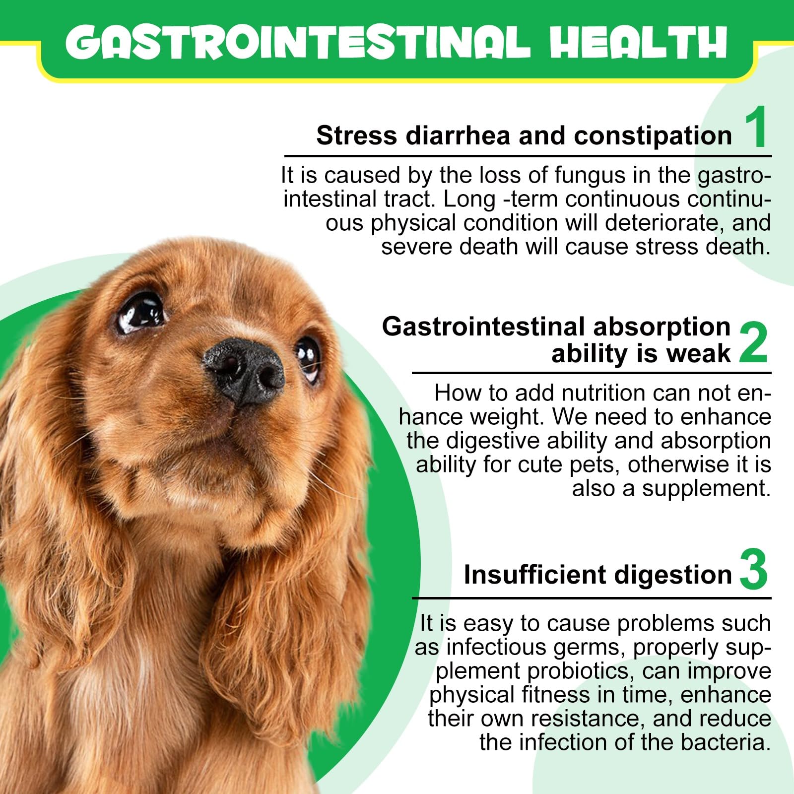 Probióticos para perros, probióticos para perros, enzimas digestivas, salud intestinal, picor cutáneo, alergias, diarrea, equilibrio de levaduras, sistema inmunológico y soportes para la salud, 120