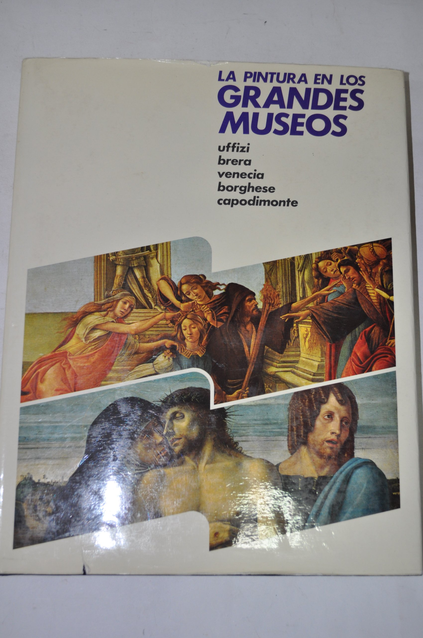 La pintura en los grandes museos. Tomo 3. Uffizi, Brera, Venecia, Borghese, Capodimonte Paperback – 1 Jan. 1979