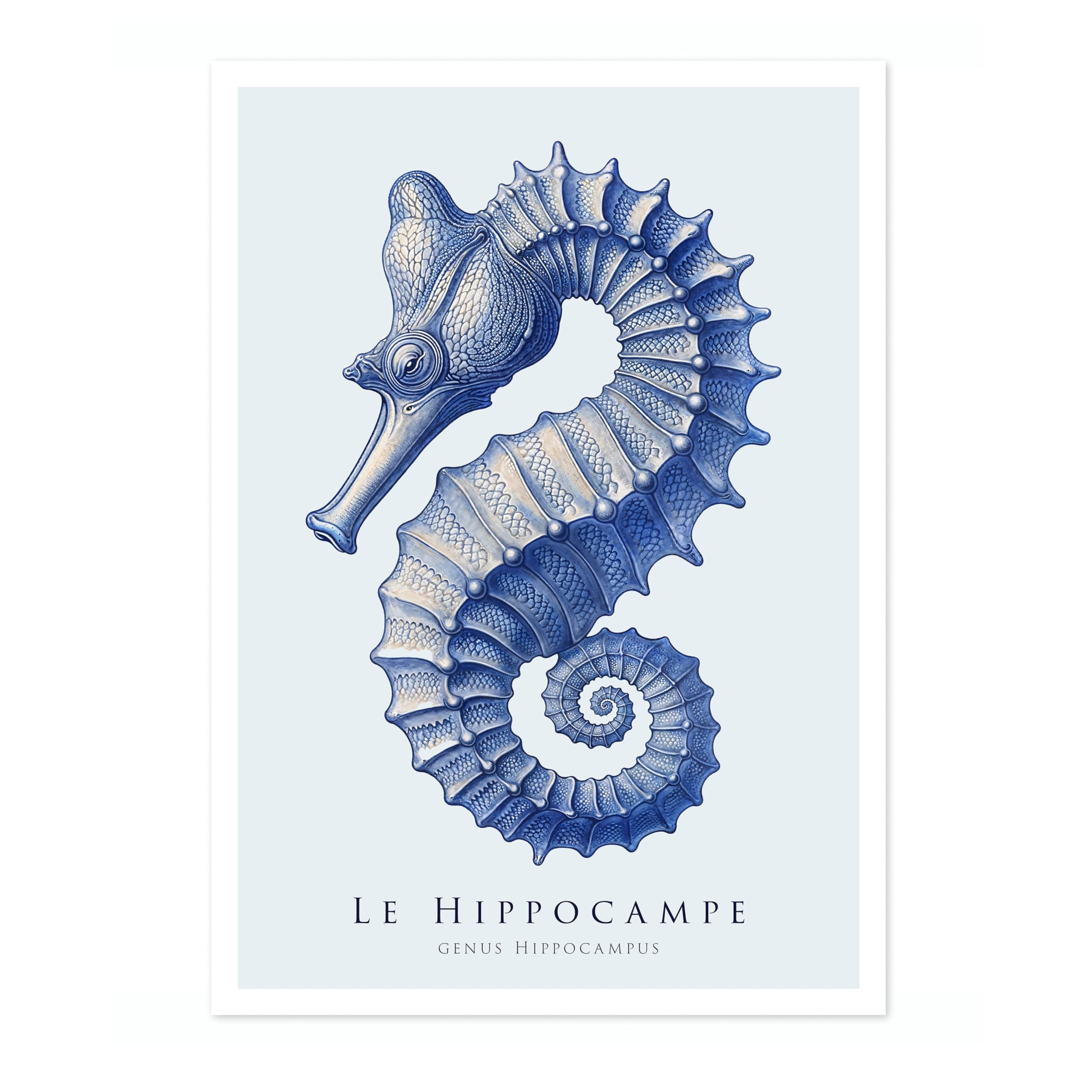 Animato Seahorse Nautical Exhibition Art Print, Vintage Botanical Prints, Retro Sealife Oceanography Illustration Wall Art Pictures, Nature Bathroom Home Decor, A1 (Print Only) - 84.1x59.4cm โ image 1