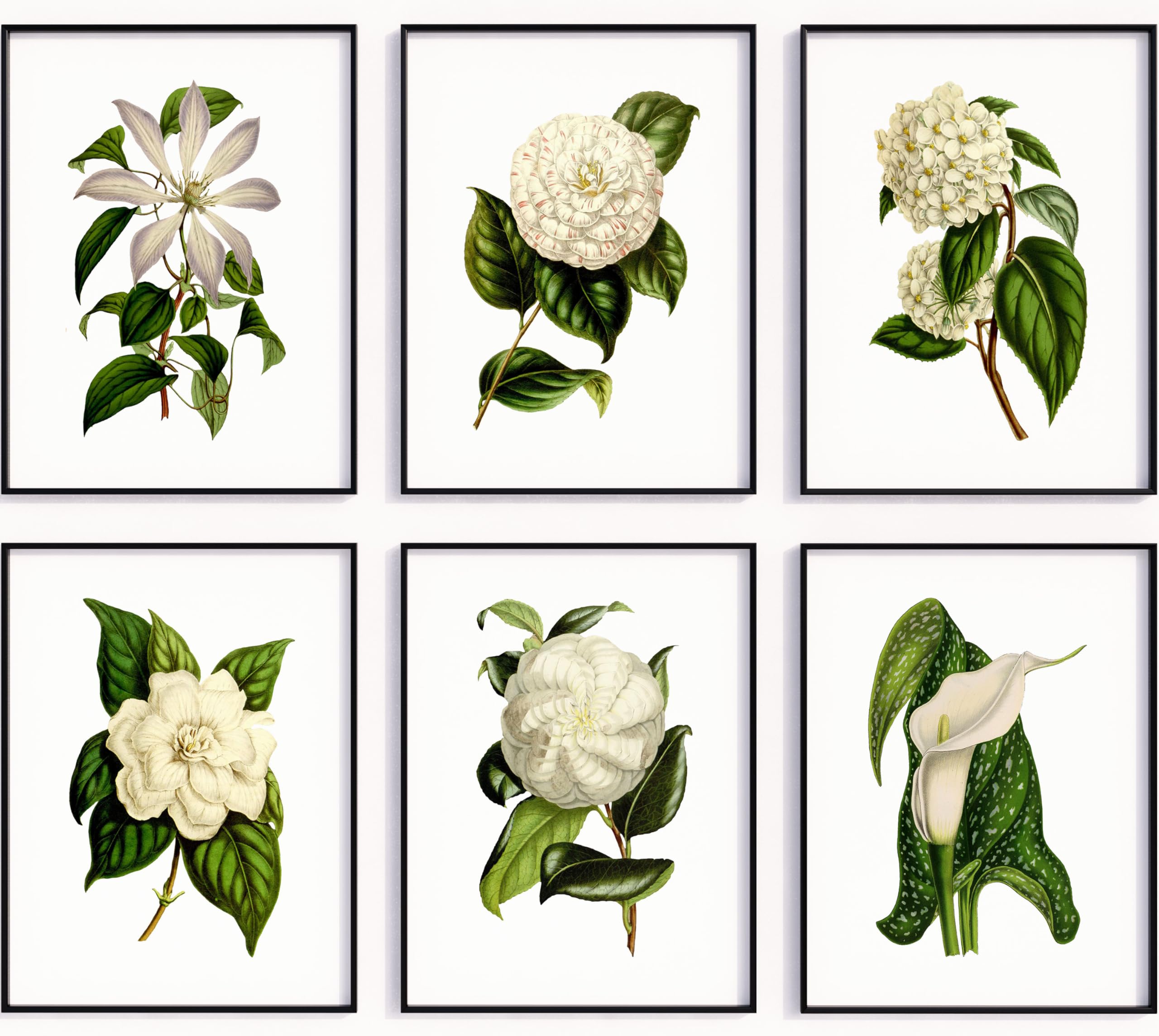 White Flower Botanical Set