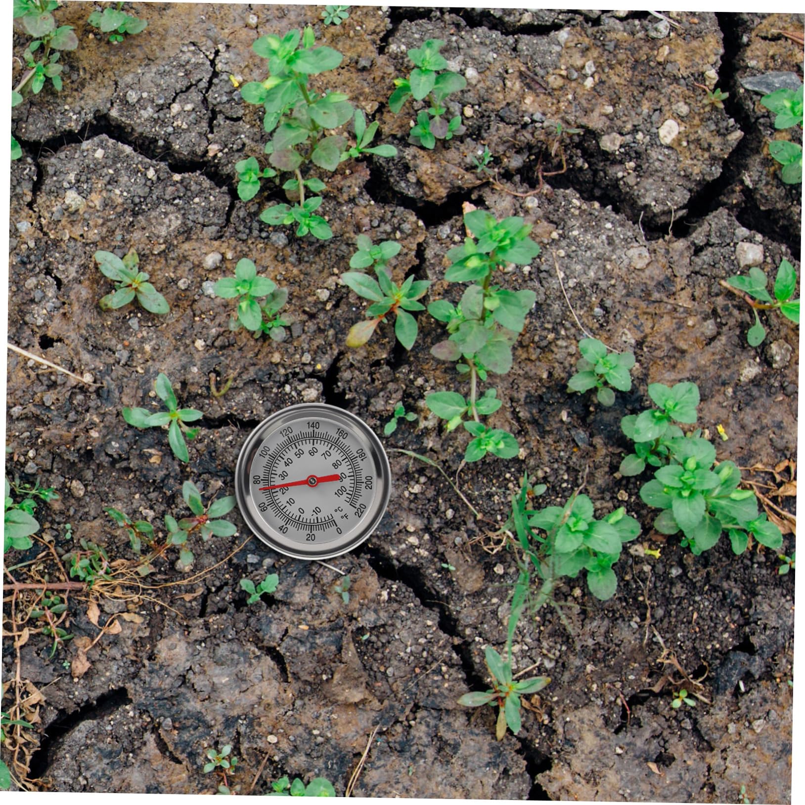 BESPORTBLE 3stücke Edelstahl Bodenthermometer Mit Extra-Langer Sonde Präzises Temperaturmessgerät Für Garten Und Kompostierung Für Pflanzenpflege Und Wachstum