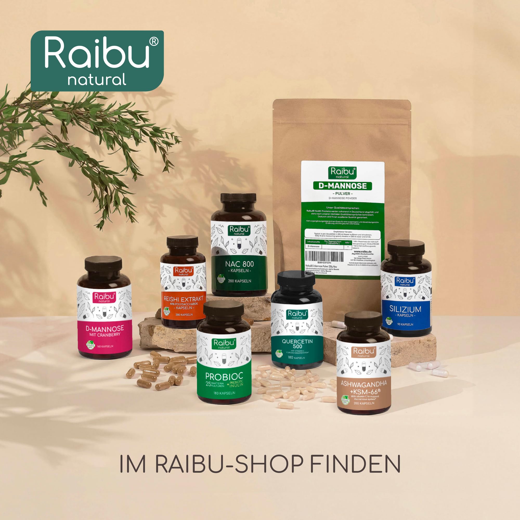 Quercetin Hochdosiert - 360 Kapseln - 500 mg Quercetin pro Kapsel - Vorrat für 12 Monate - Hochwertiger Rohstoff: Japanischer Schnurbaum - Ohne Zusätze & Vegan- Raibu (Packung mit 2)