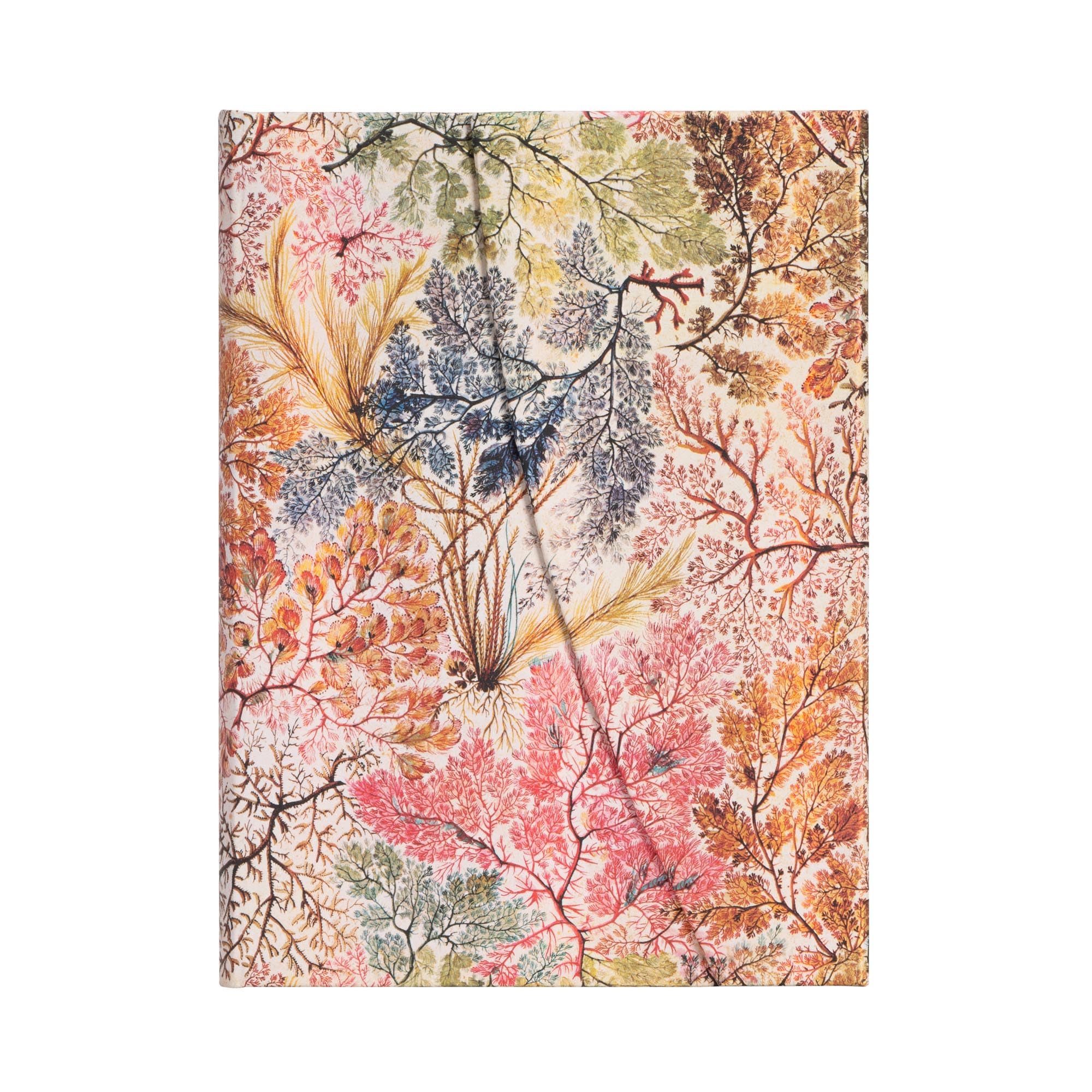 Paperblanks Hardcover Notizbuch William Kilburn – Liniert, Midi (130 × 180 mm)