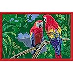Ravensburger CreArt 23770 Colourful Parrots Painting by Numbers for Children from 9 Years, Painting Set with Frame, Brush and Acrylic Paints, Gift for Girls and Boys