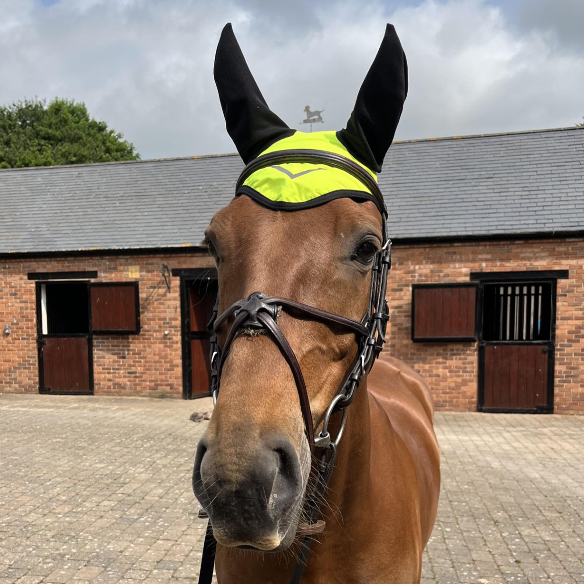 Ruggles Hi-Viz Ear Bonnet - Fly Veil for Horse and Pony - Yellow, Orange (Yellow, Pony) - Image 2