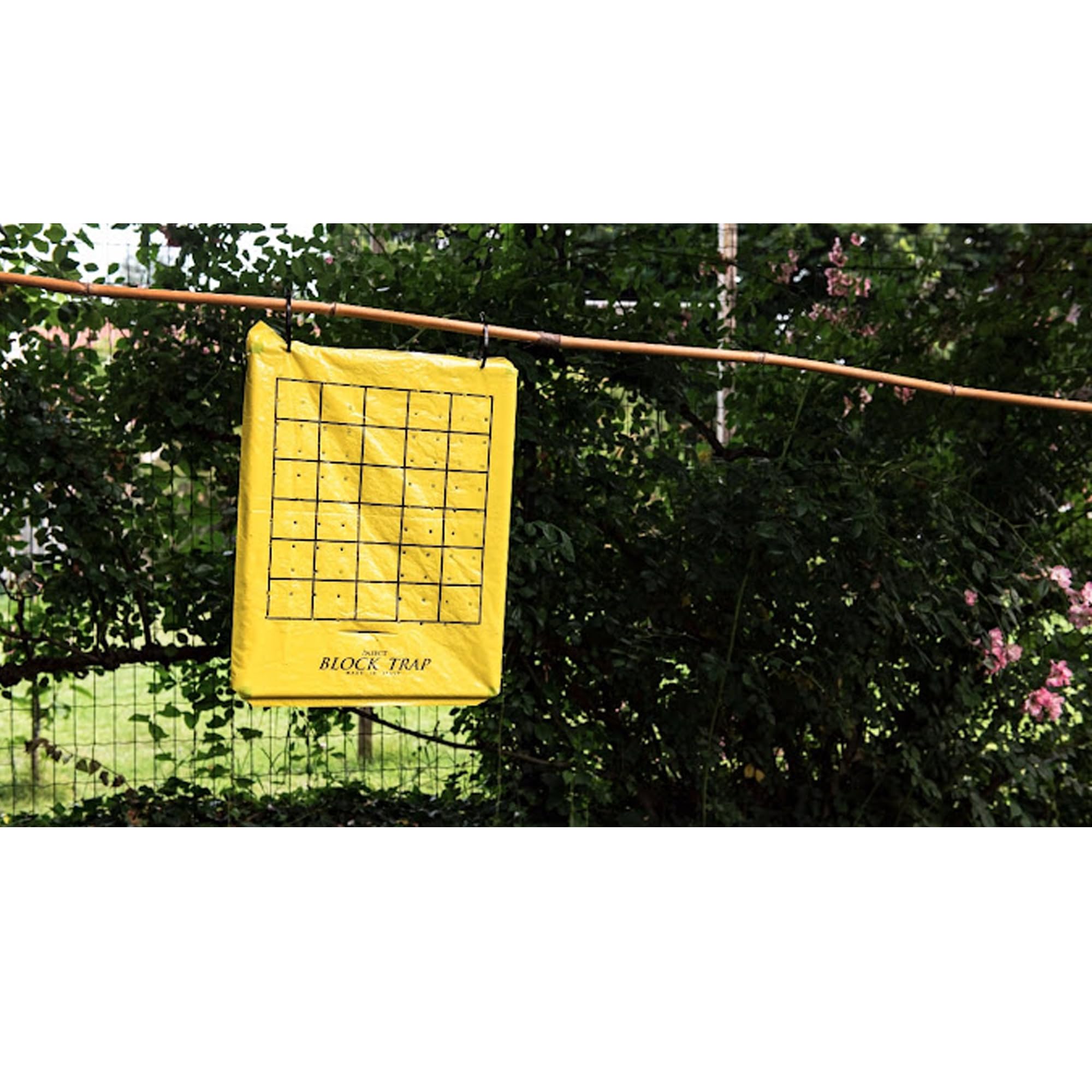 Cimice Stop Block Trap - Trappola ecologica per la cattura di massa della Cimice Asiatica, Verde e Marmorata (Halyomorpha Halys) Più di 12 settimane di funzionamento (Kit Completo)