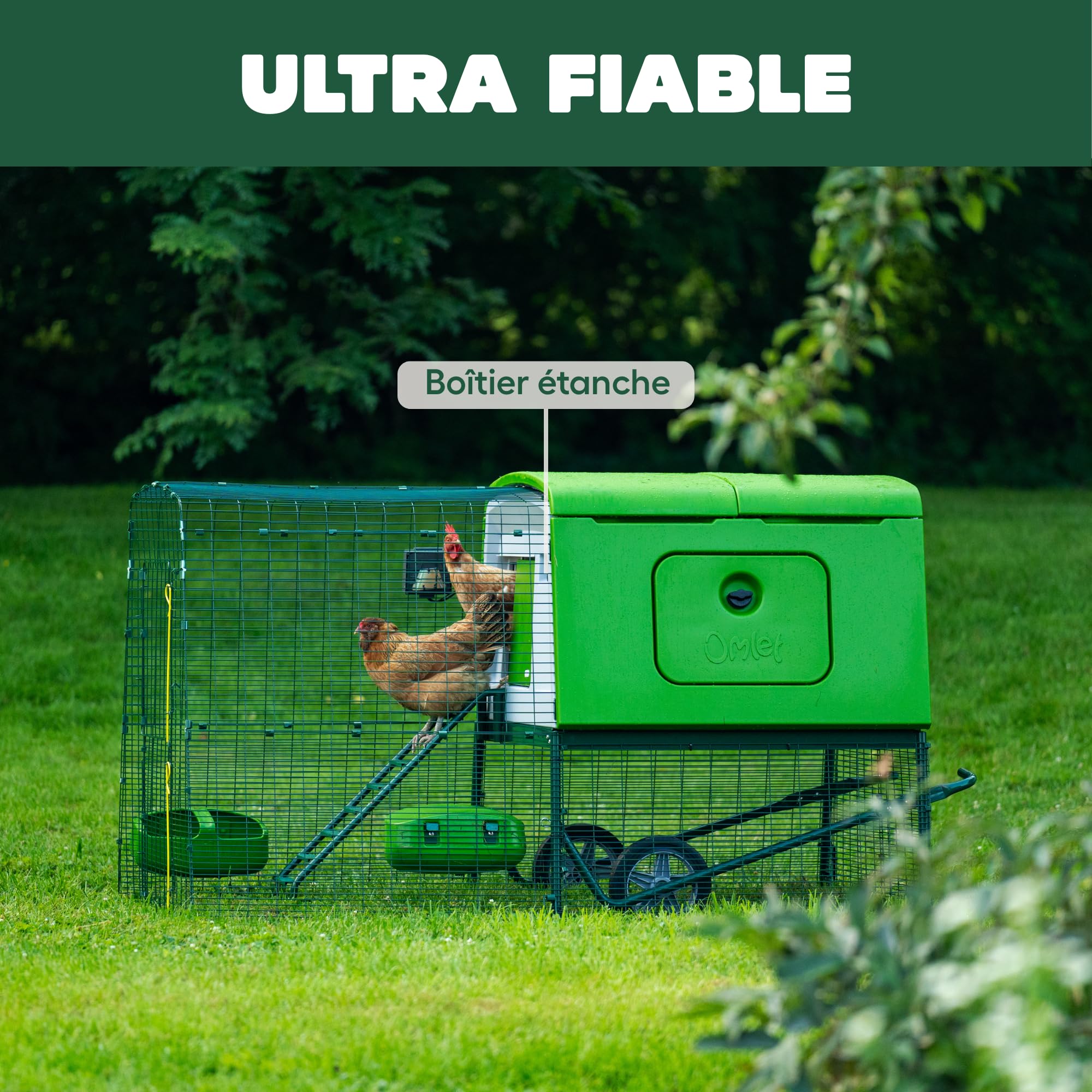 Omlet Porte de Poulailler Automatique | Ouverture et Fermeture par Capteur de Lumière ou Minuterie | Facile à Installer et sans Entretien | Sécurité Renforcée et Meilleure Isolation | Vert
