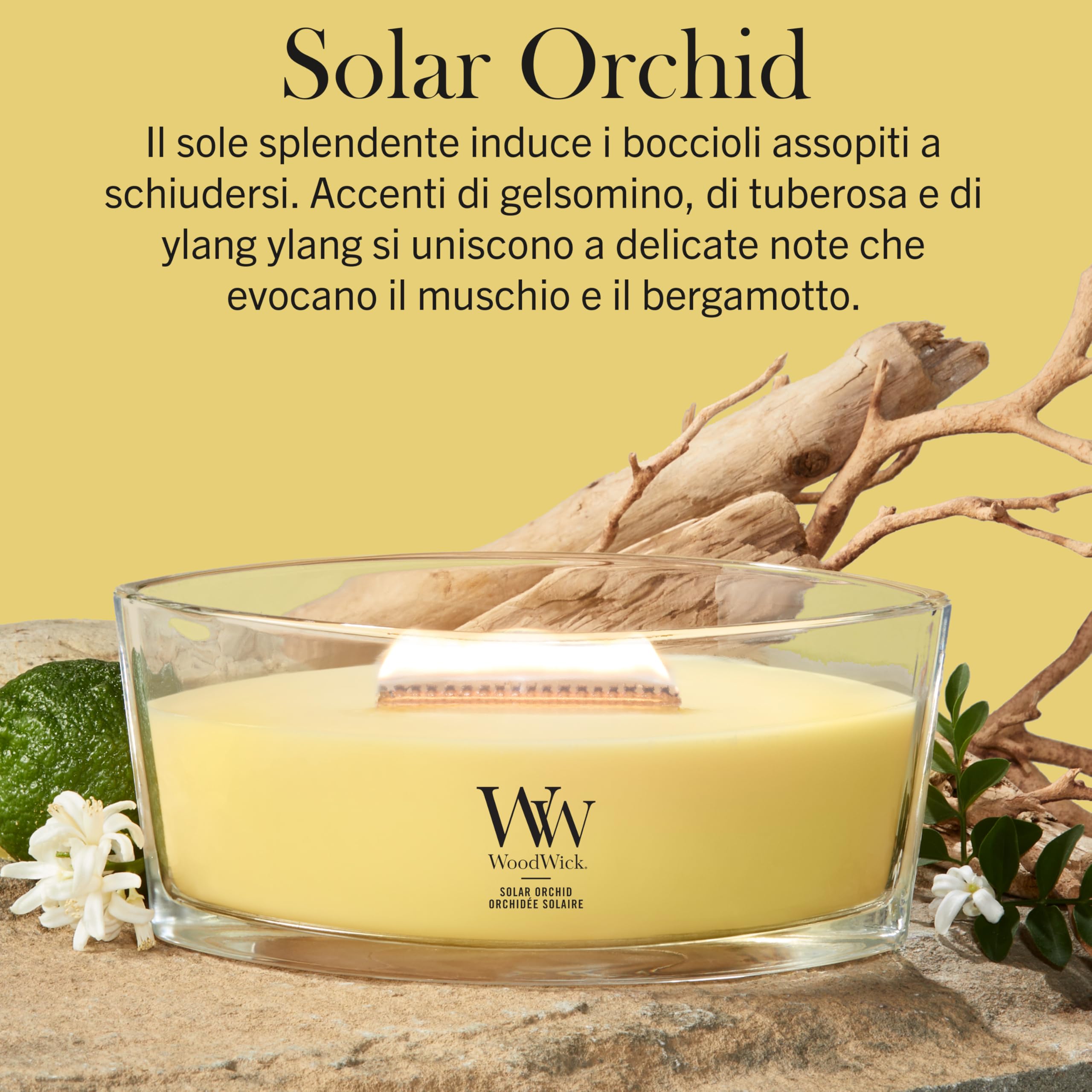 WoodWick Candela profumata | Candela Ellipse | Solar Orchid | Regali perfetti per donne