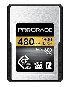 プログレード PROGRADE CFexpress Type B 165GB Amazon | ProGrade Digital CFexpress 2.0 Type A GOLD 480GB