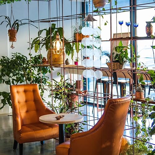 Miniatura 17 de GLEAVI Cowrie Shells 100pcs Round Shells Pieces Round Natural Capiz with 2 Hole, Polished Slice Accessory Capiz Pearl Coin Beads Charms for Jewelry