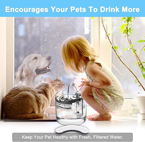 Miniatura 7 de Filtro de fuente de agua para gatos filtro de fuente de gato en forma de arco seguro lavable con 4 sistemas de filtración para fuente de agua HAPUP