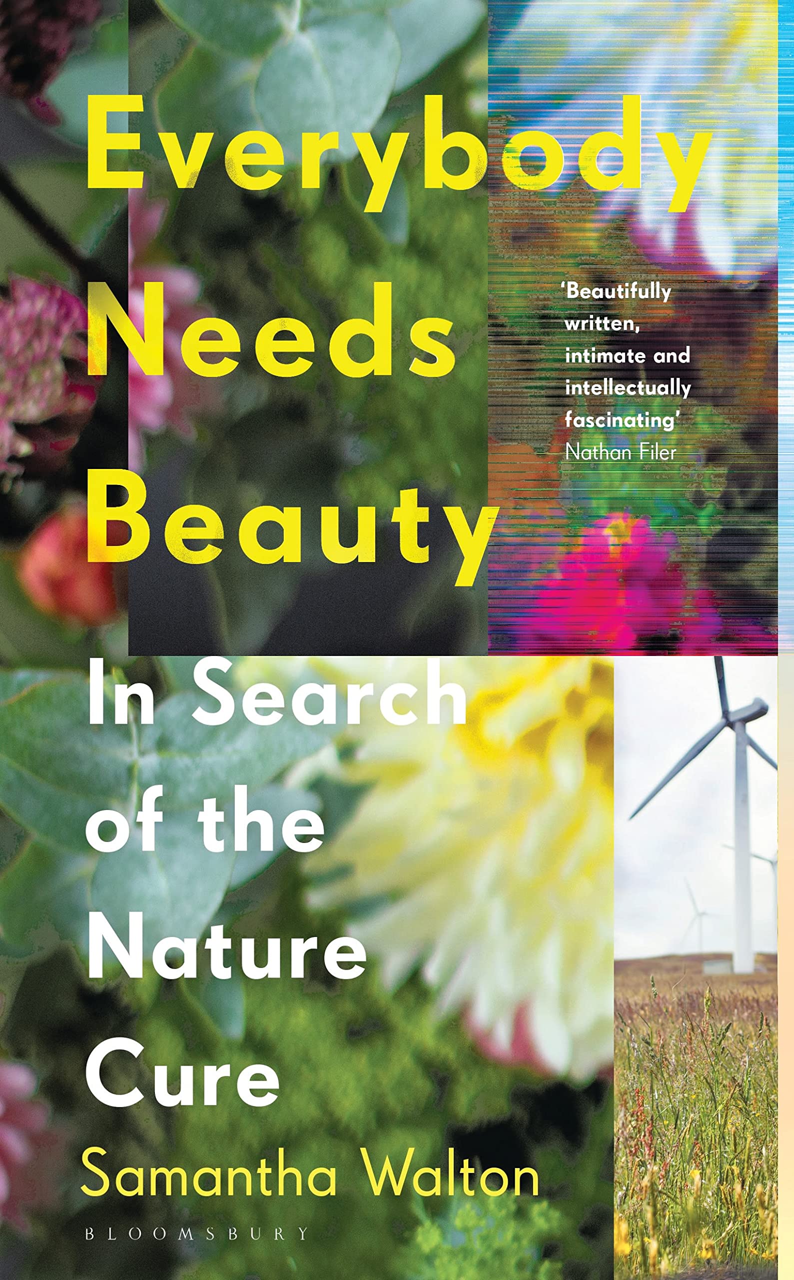 Buy Everybody Needs Beauty: In Search of the Nature Cure — BookShops.in