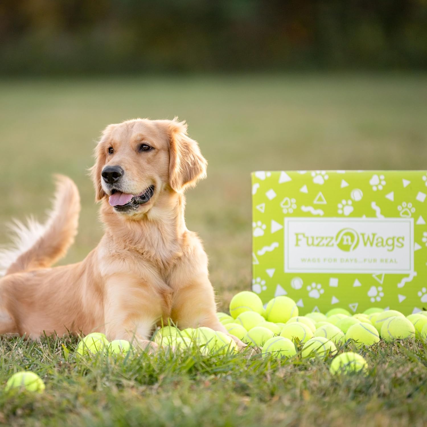 25-100 Bulk Used Tennis Balls for Dogs, Support USA Tennis Ball Recycling NonProfit: Bulk Tennis Balls for Dogs