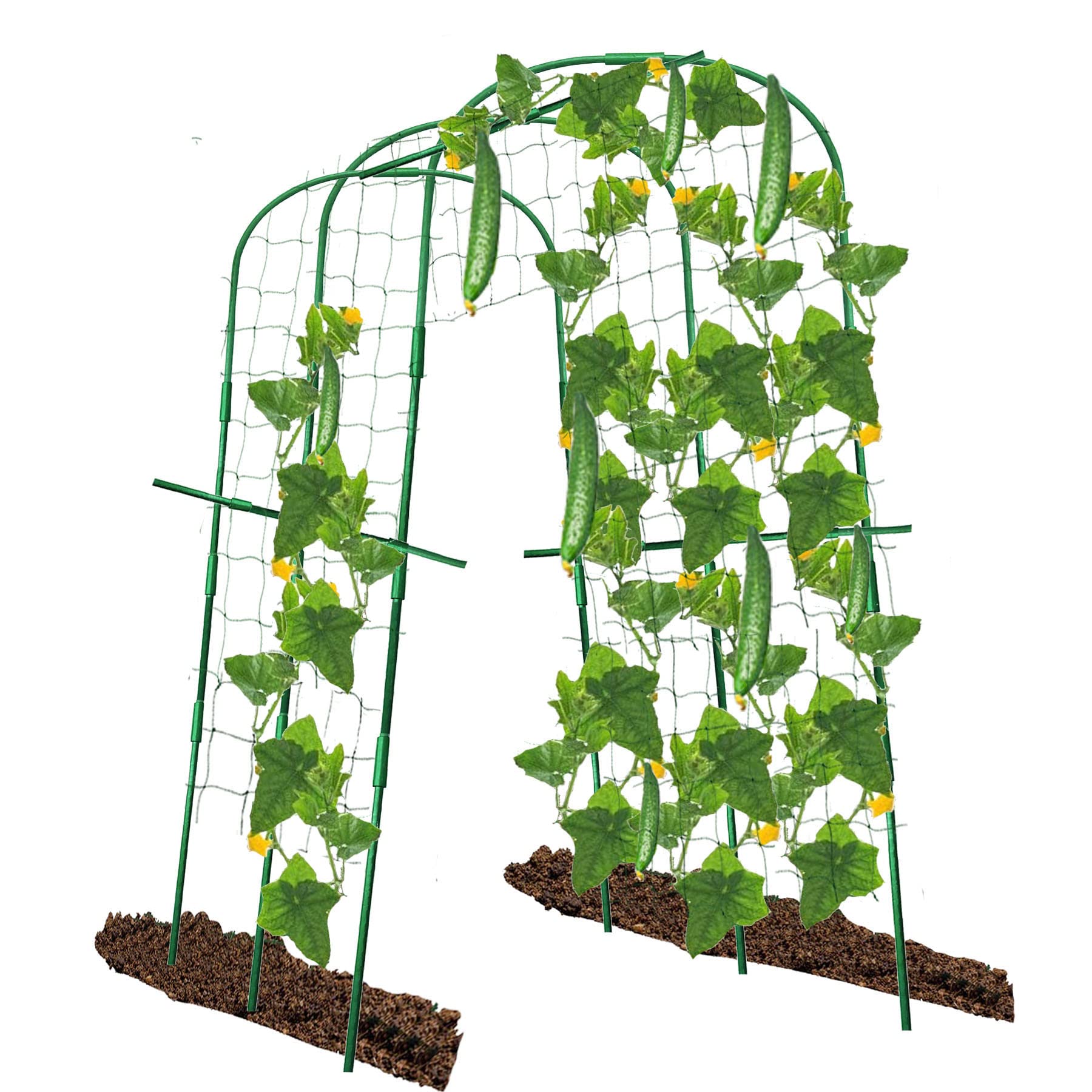 Buy 7Queen Round Frame Garden Arch Arbor Cucumber Trellises Zucchini