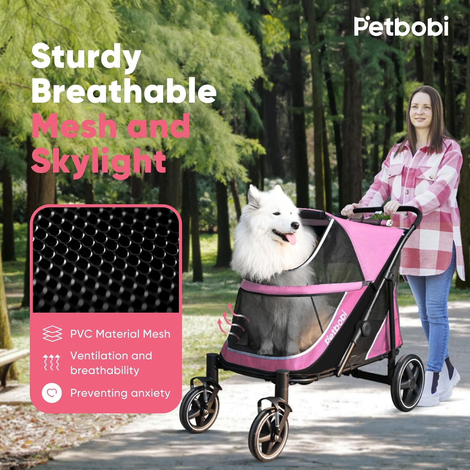 https://m.media-amazon.com/images/I/81rAFQMaX5L._AC_SL1500_.jpg