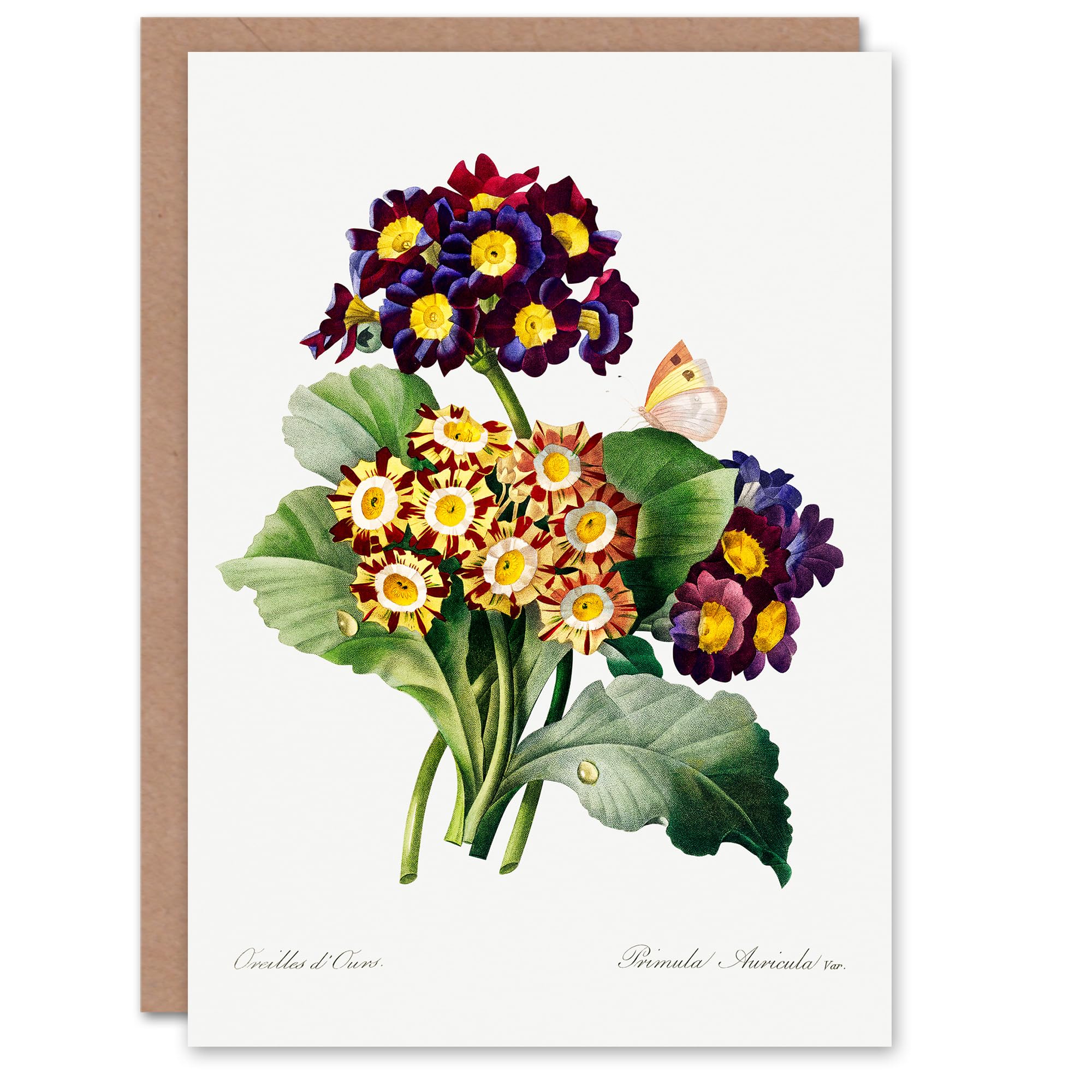Artery8 Pierre-Joseph Redouté Art Card Primrose Flowers Vintage Floral Illustration