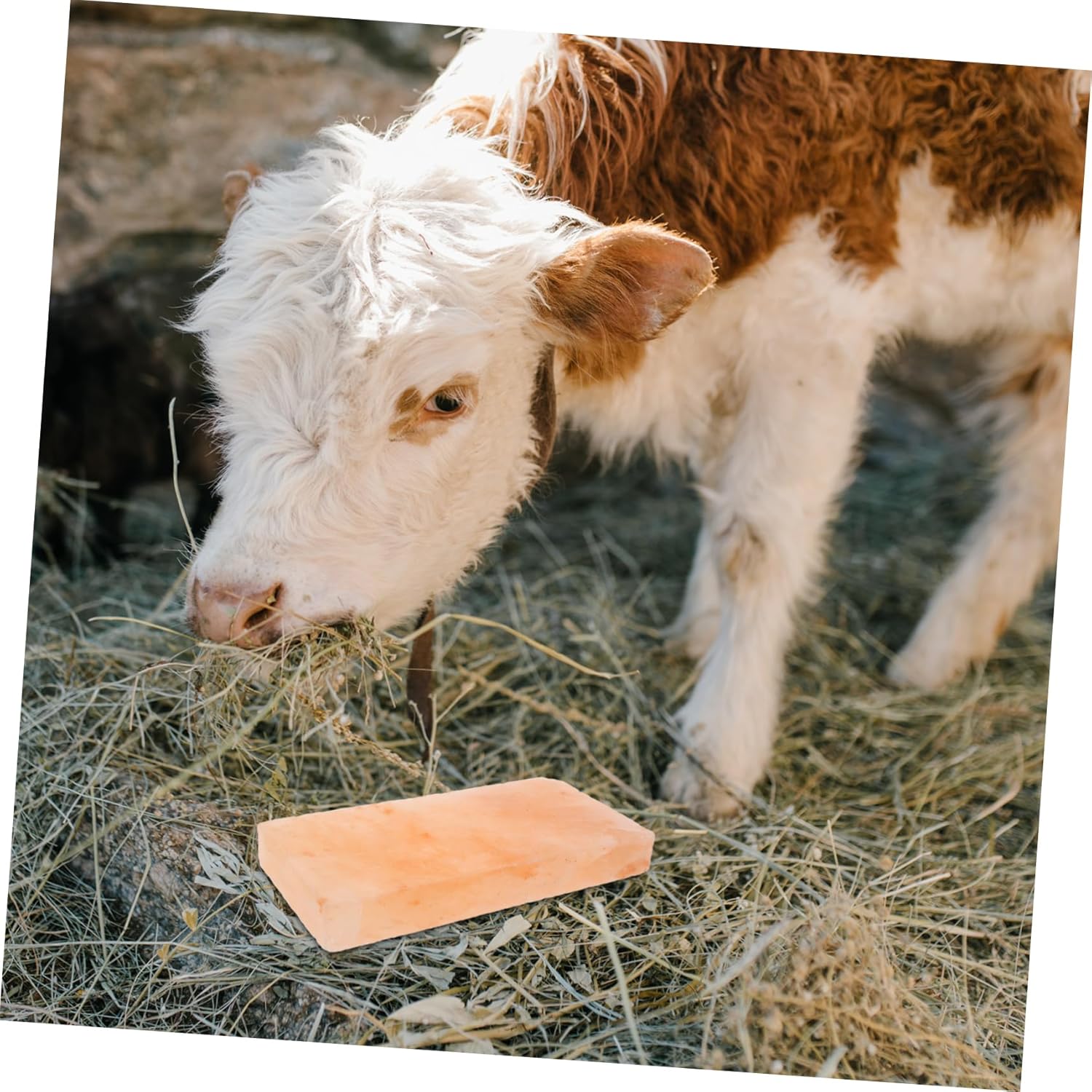POPETPOP Mineral Salt Block Cattle Sheep Nutrient-Rich Lick Salt for Livestock Easy to Use Boosts Digestion