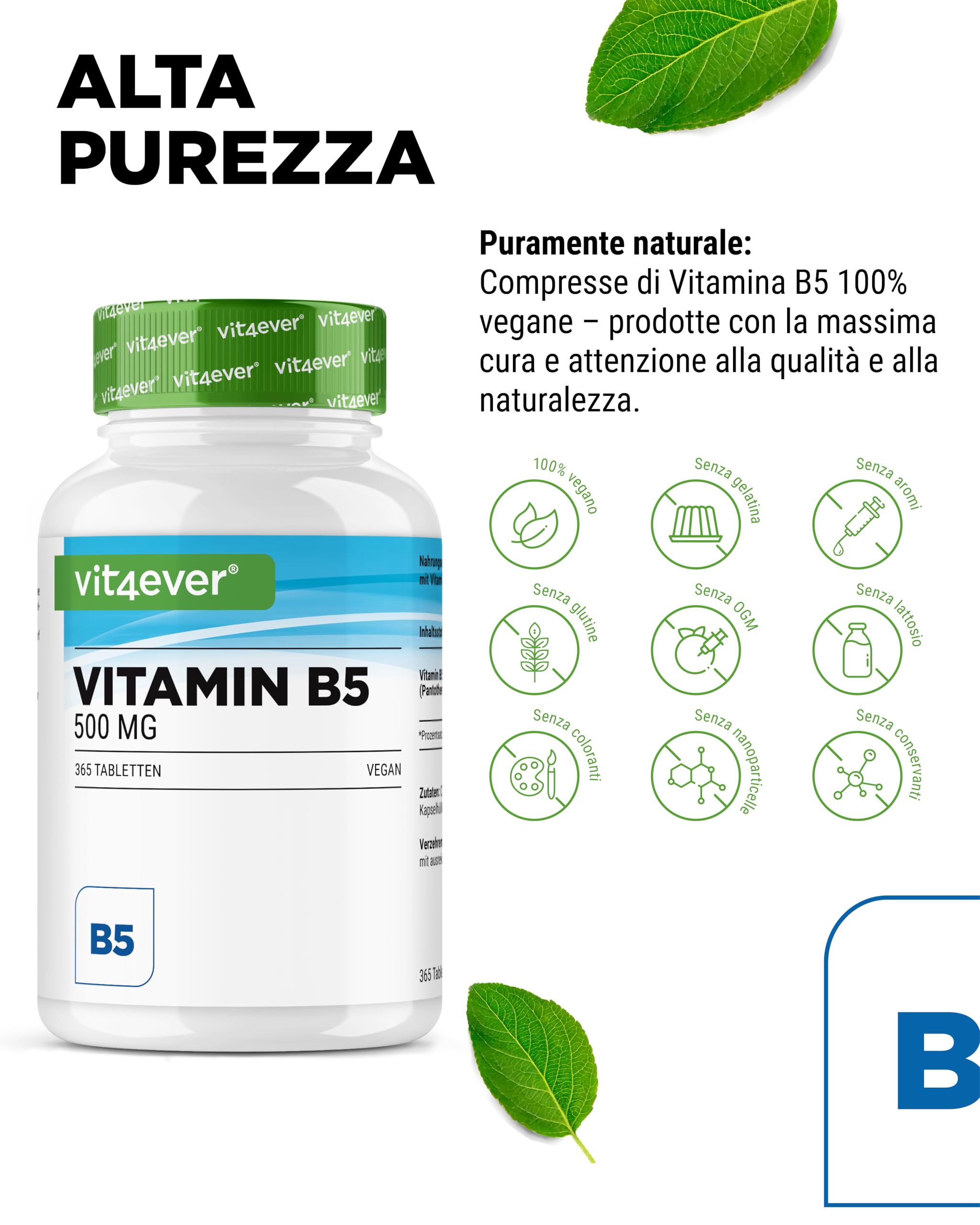 vit4ever Vitamina B5 (Acido Pantotenico) - 500 mg - 365 Compresse - Scorta per 1 anno - Alto Dosaggio - Senza Additivi Indesiderati - Vegano