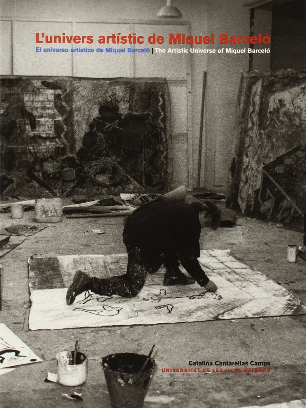 L'Univers Artistique de Miquel Barcelo : livre d'art contemporain pour collectionneurs