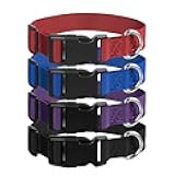 4 Pack Medium Basic Dog Collars Adjustable Dog Collars for Large Breakaway Dogs Collar Classic Pet Dogs Collar with Quick Release Buckle for Walking Training Running (Black, Blue, Red, Purple)